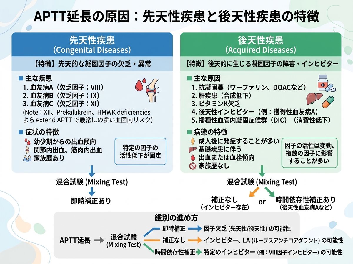 APTT延長の原因 先天性疾患と後天性疾患の特徴