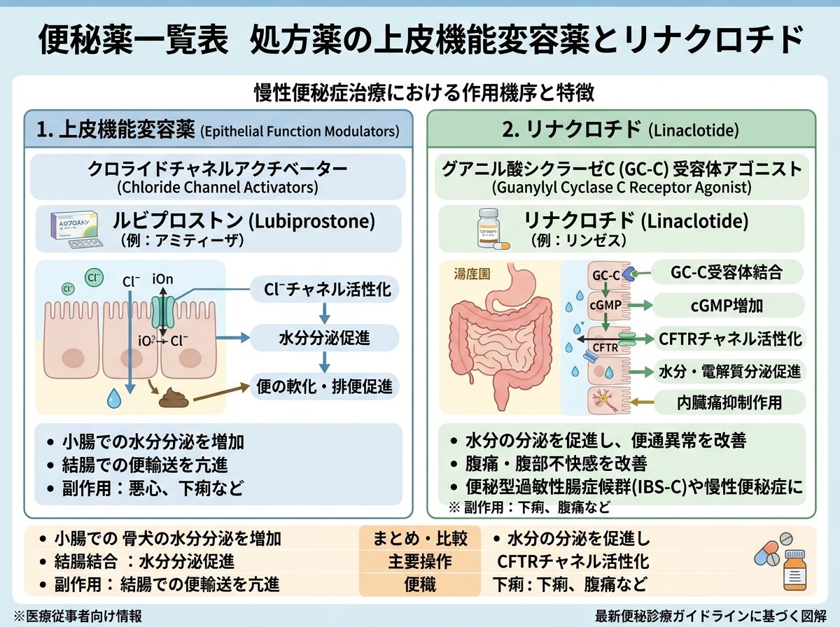 便秘薬一覧表 処方薬の上皮機能変容薬とリナクロチド