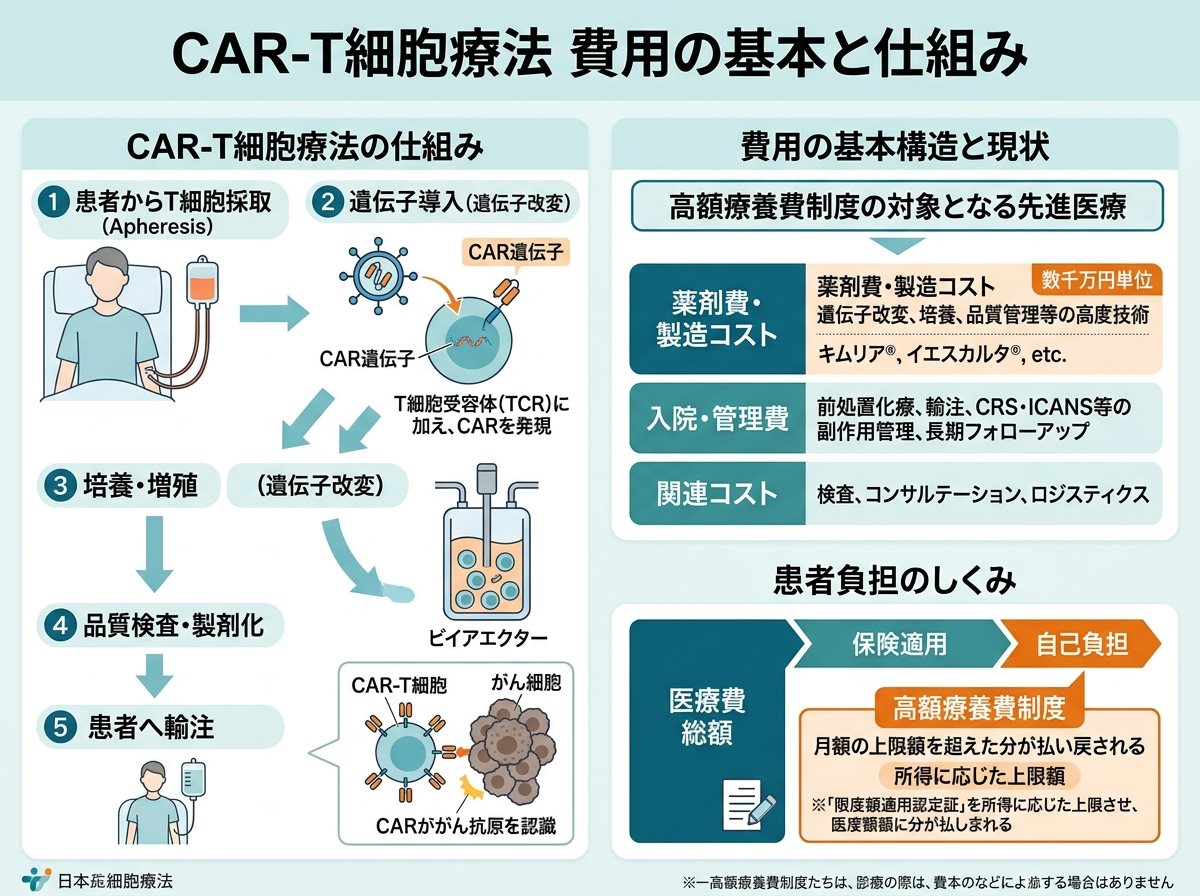 car-t細胞療法 費用の基本と仕組み
