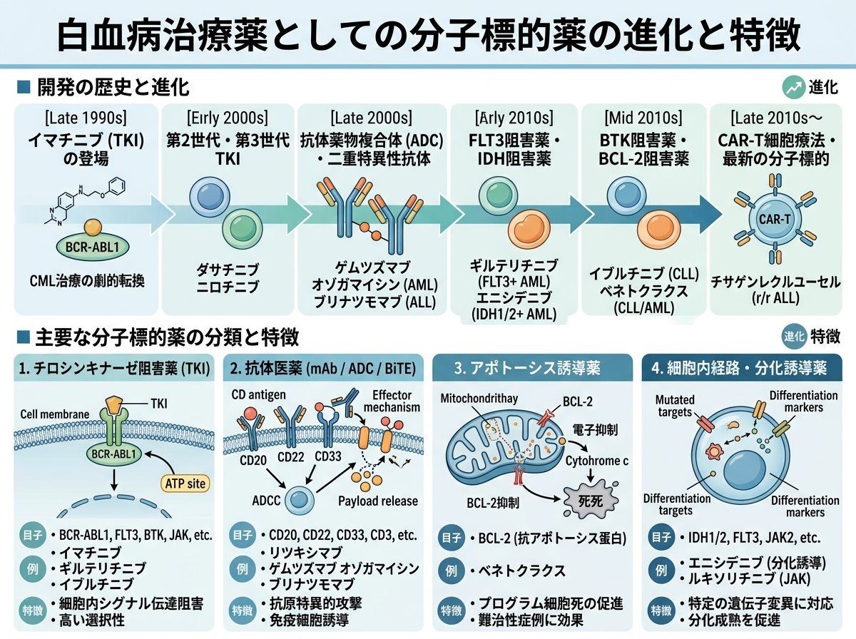 白血病治療薬としての分子標的薬の進化と特徴