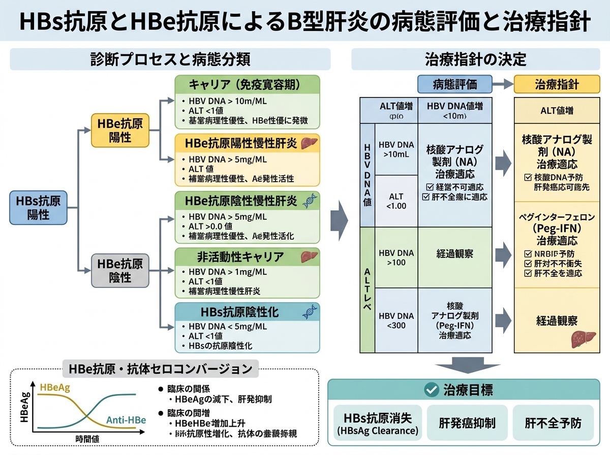 HBs抗原とHBe抗原による病態評価と治療指針
