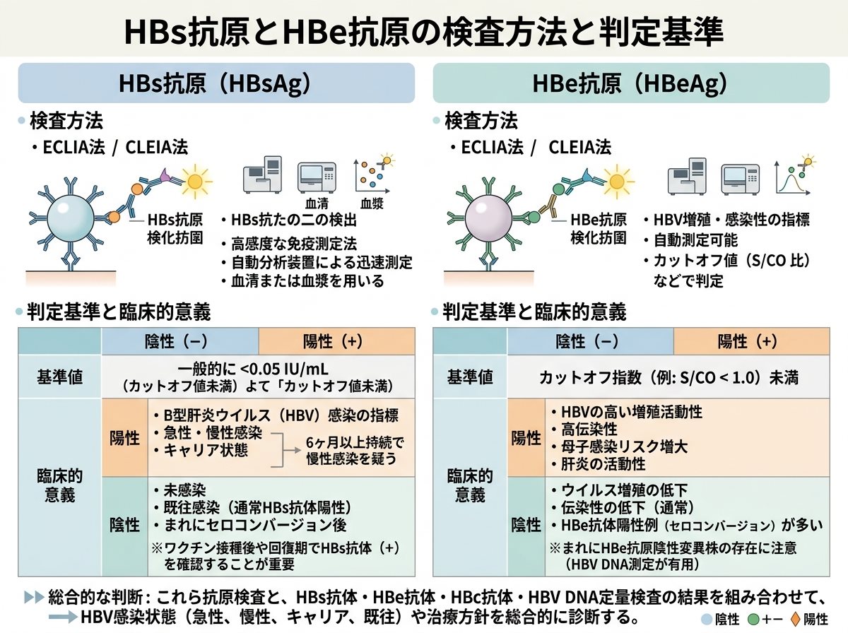 HBs抗原とHBe抗原の検査方法と判定基準