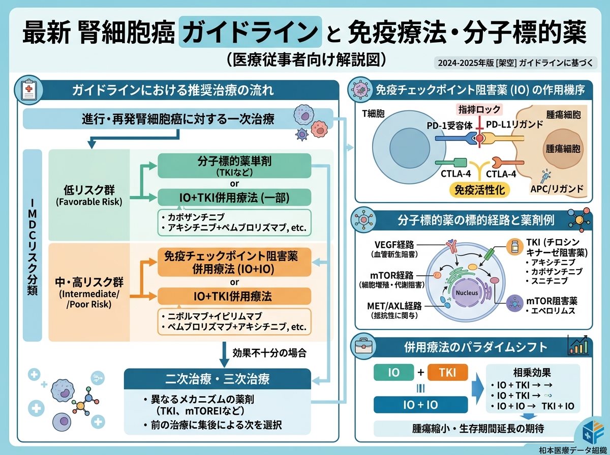 腎細胞癌 ガイドライン 最新 と免疫療法と分子標的薬