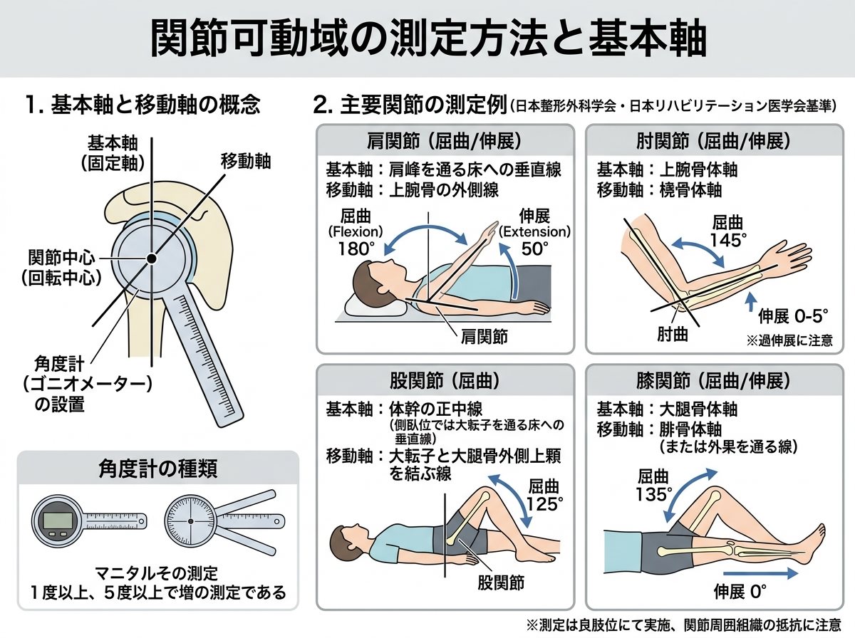 関節可動域の測定方法と基本軸