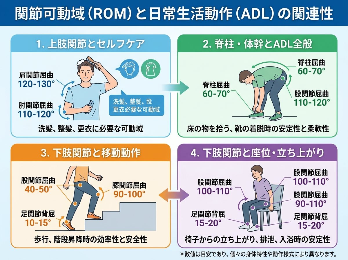 関節可動域と日常生活動作の関連性