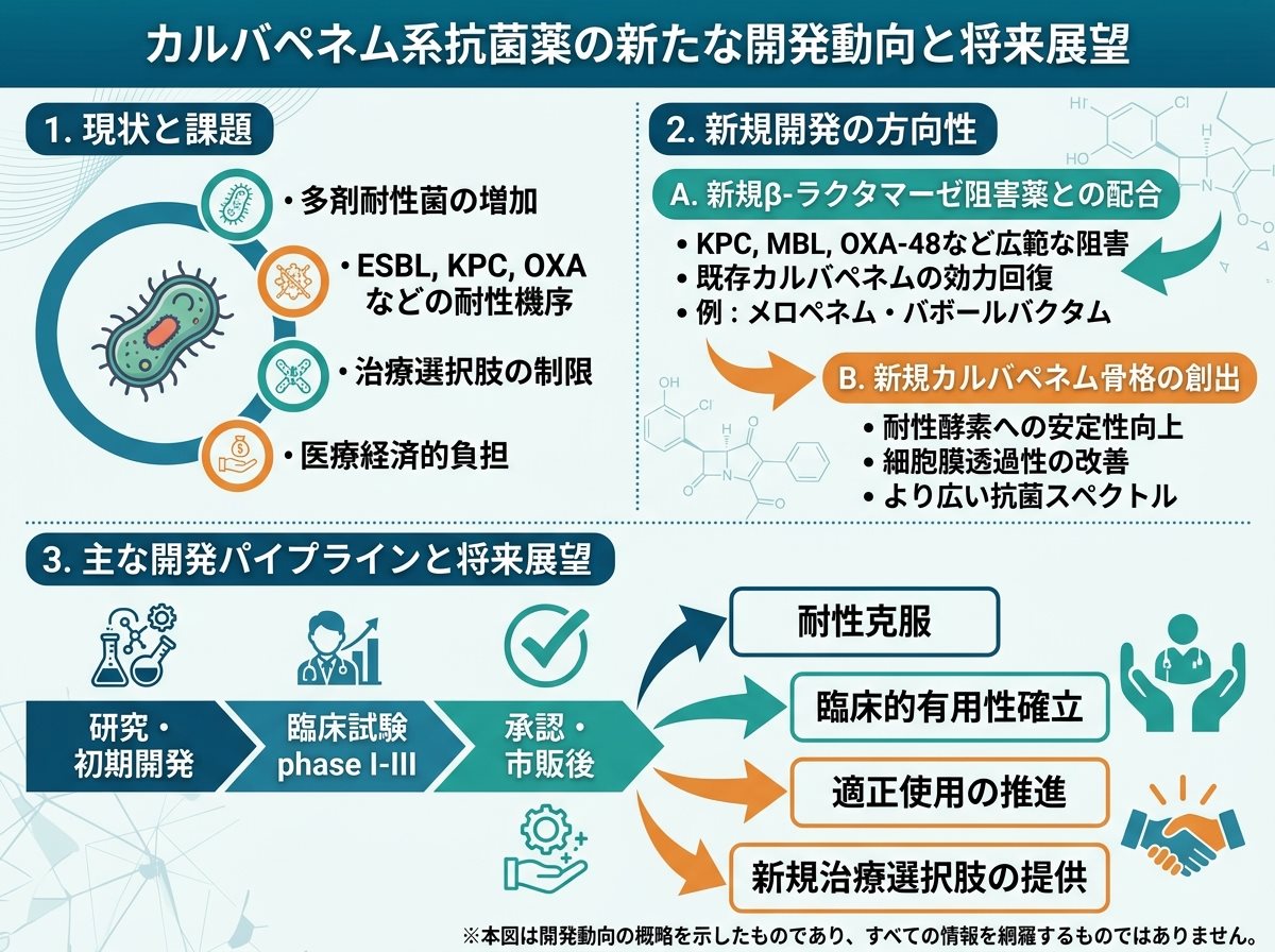 カルバペネム系抗菌薬の新たな開発動向と将来展望