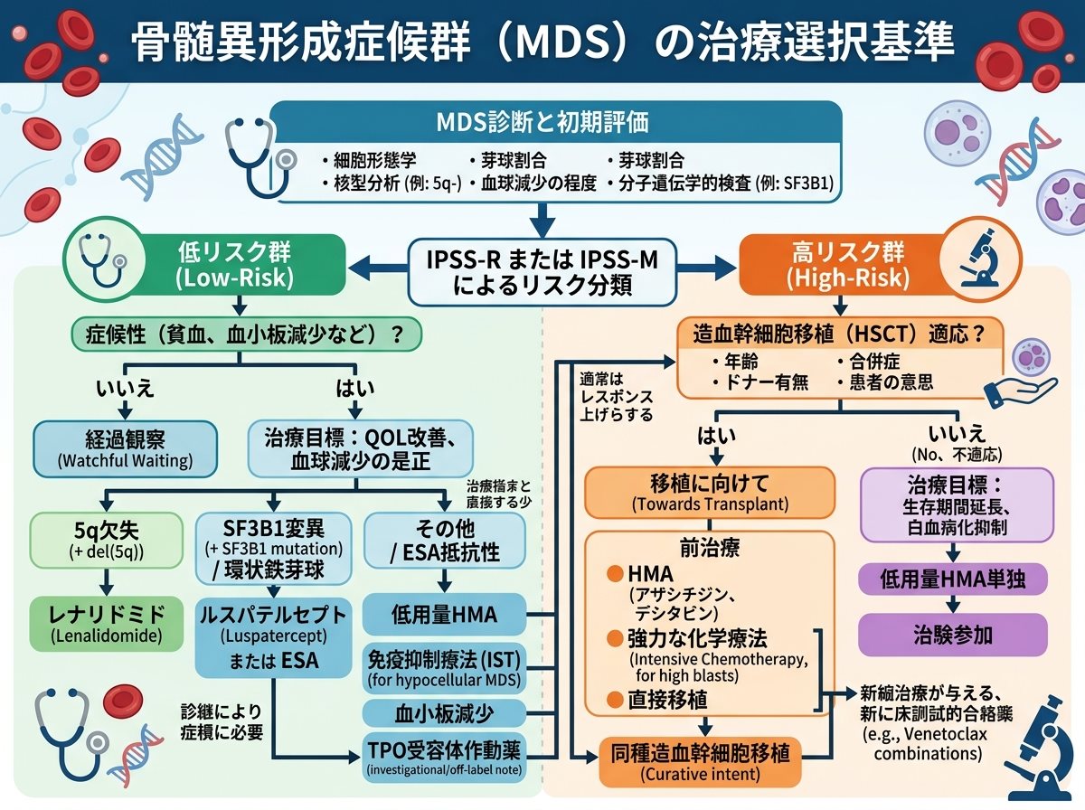 骨髄異形成症候群の治療選択基準