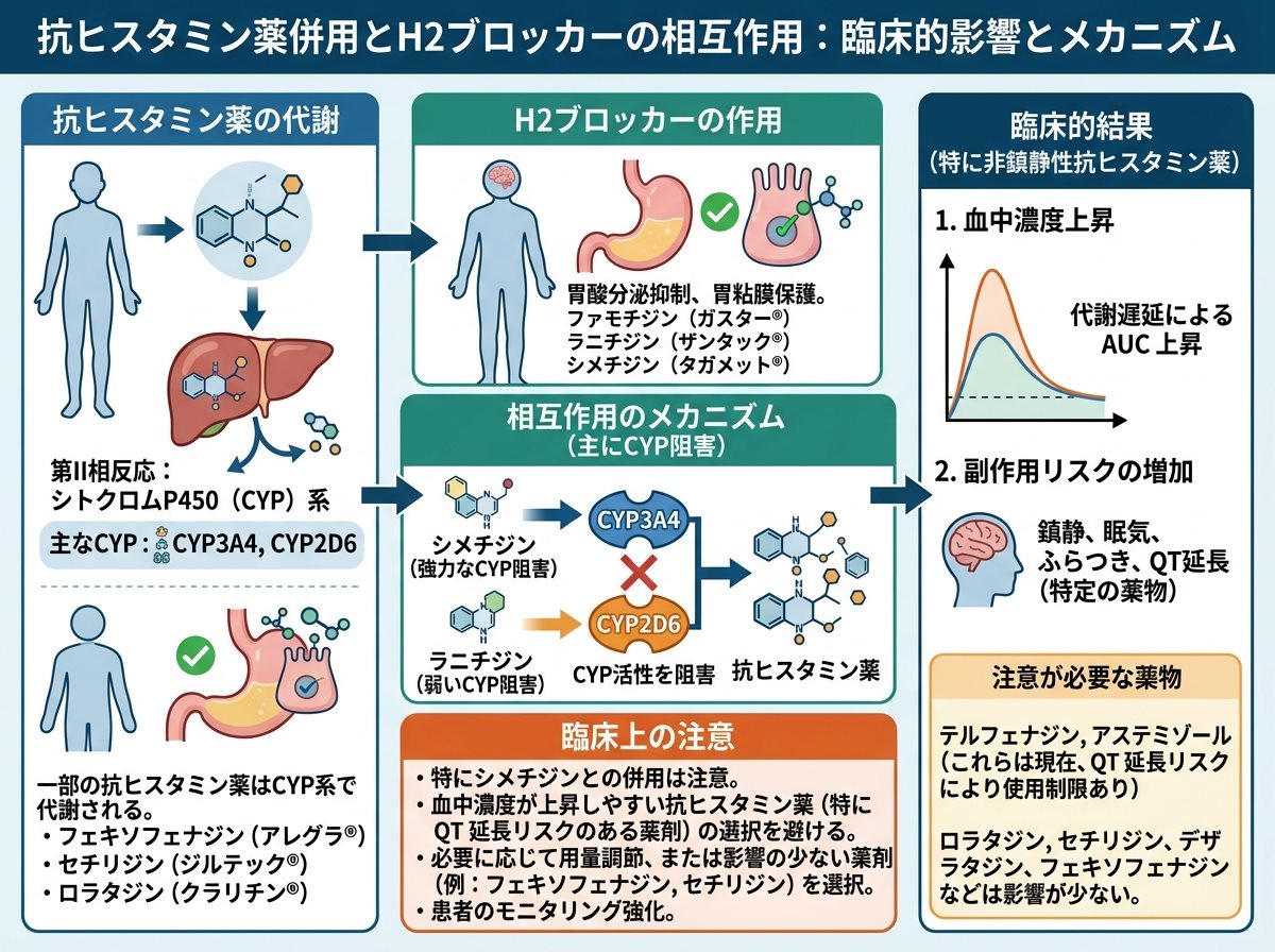 抗ヒスタミン薬併用とH2ブロッカーの相互作用