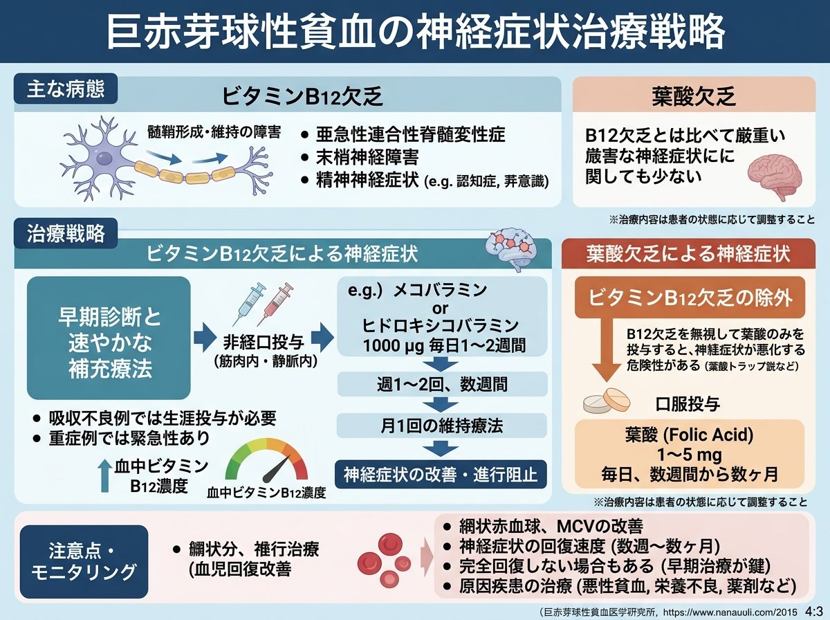 巨赤芽球性貧血の神経症状治療戦略