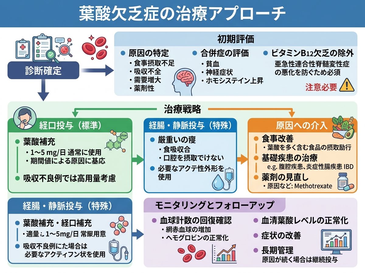 葉酸欠乏症の治療アプローチ