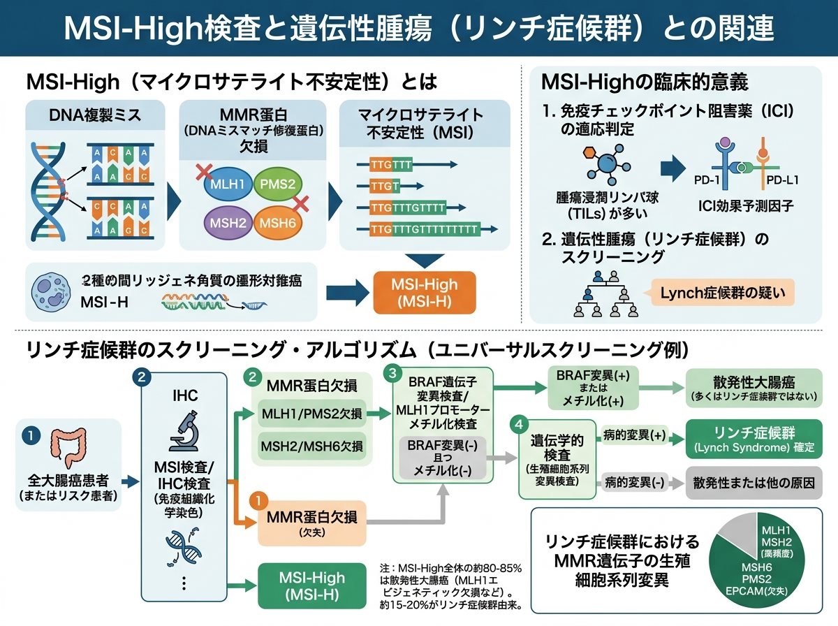 msi-high検査と遺伝性腫瘍(リンチ症候群)との関連