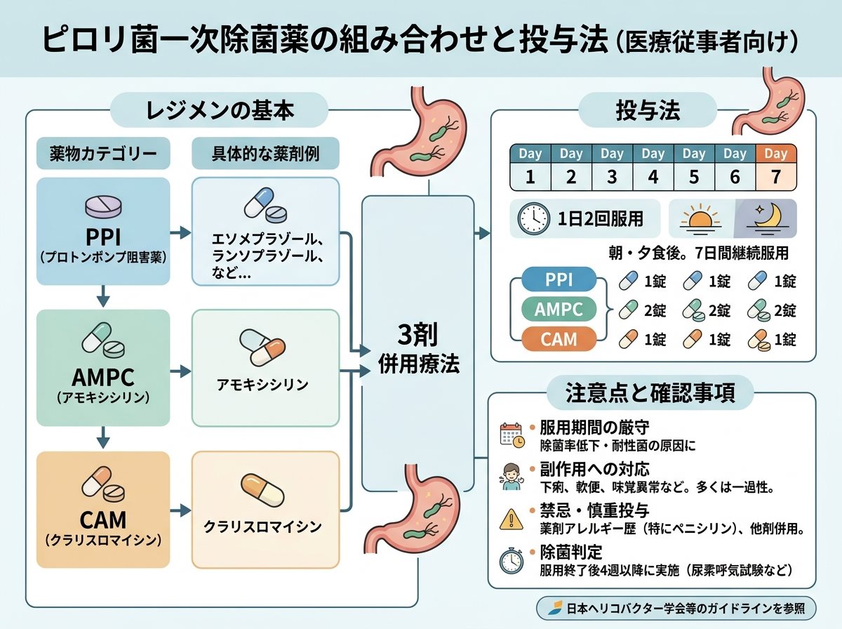 ピロリ菌一次除菌薬の組み合わせと投与法