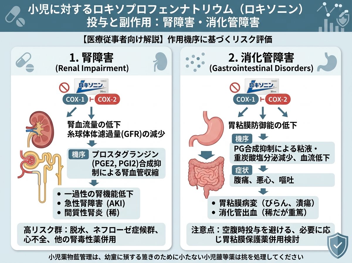 ロキソニン小児と副作用（腎障害・消化管）