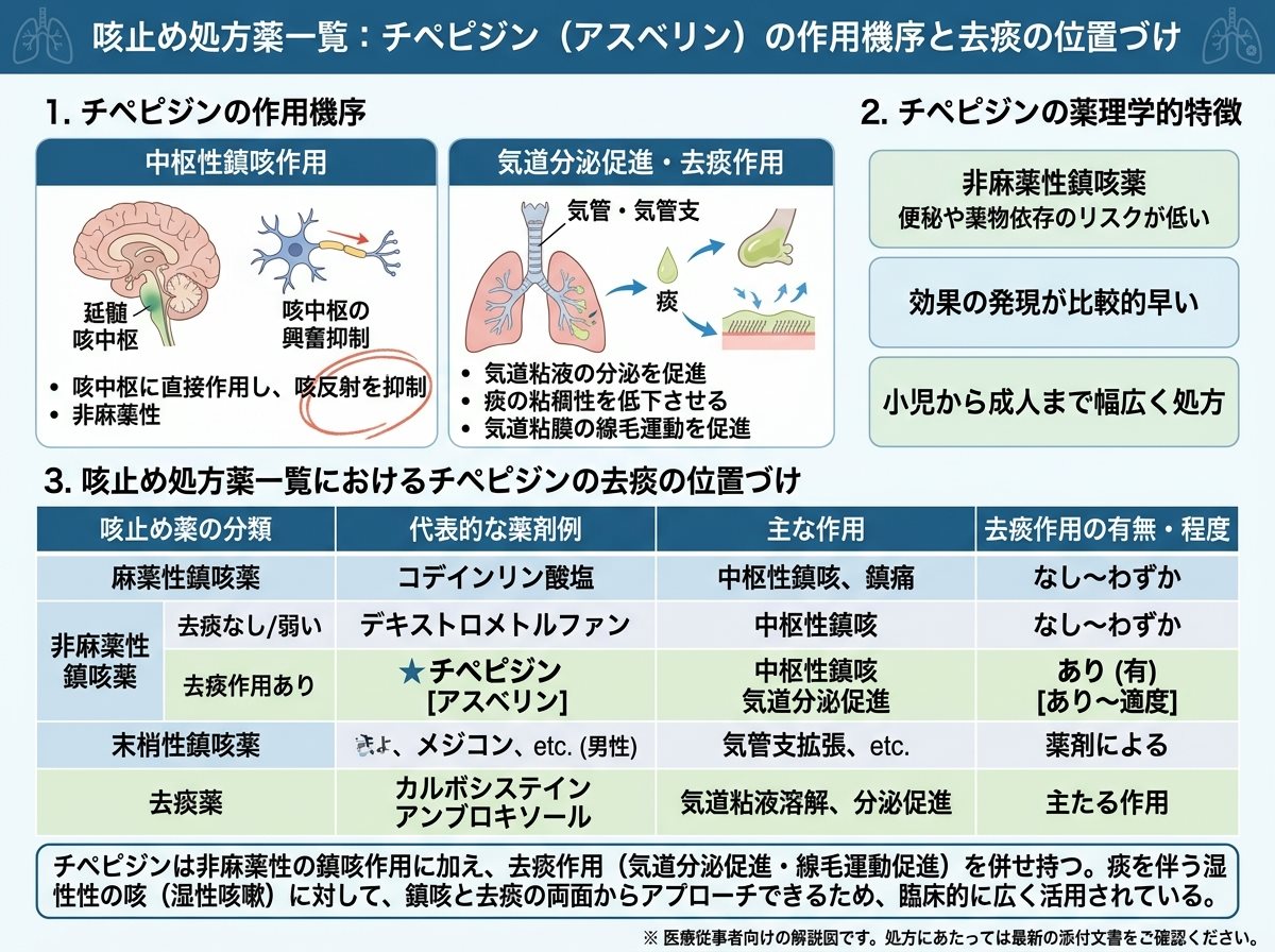 咳止め処方薬一覧：チペピジン（アスベリン）の作用機序と去痰の位置づけ