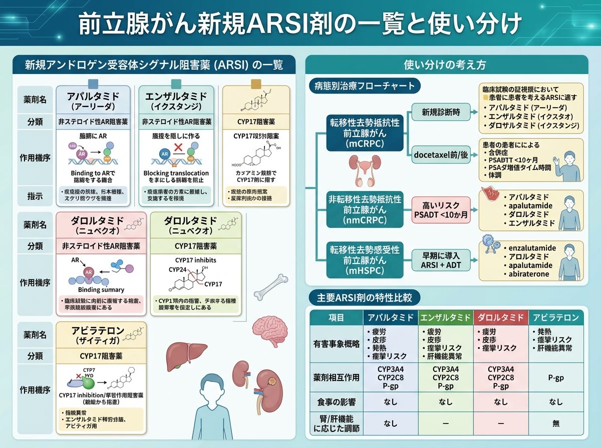 前立腺がん新規ARSI剤の一覧と使い分け