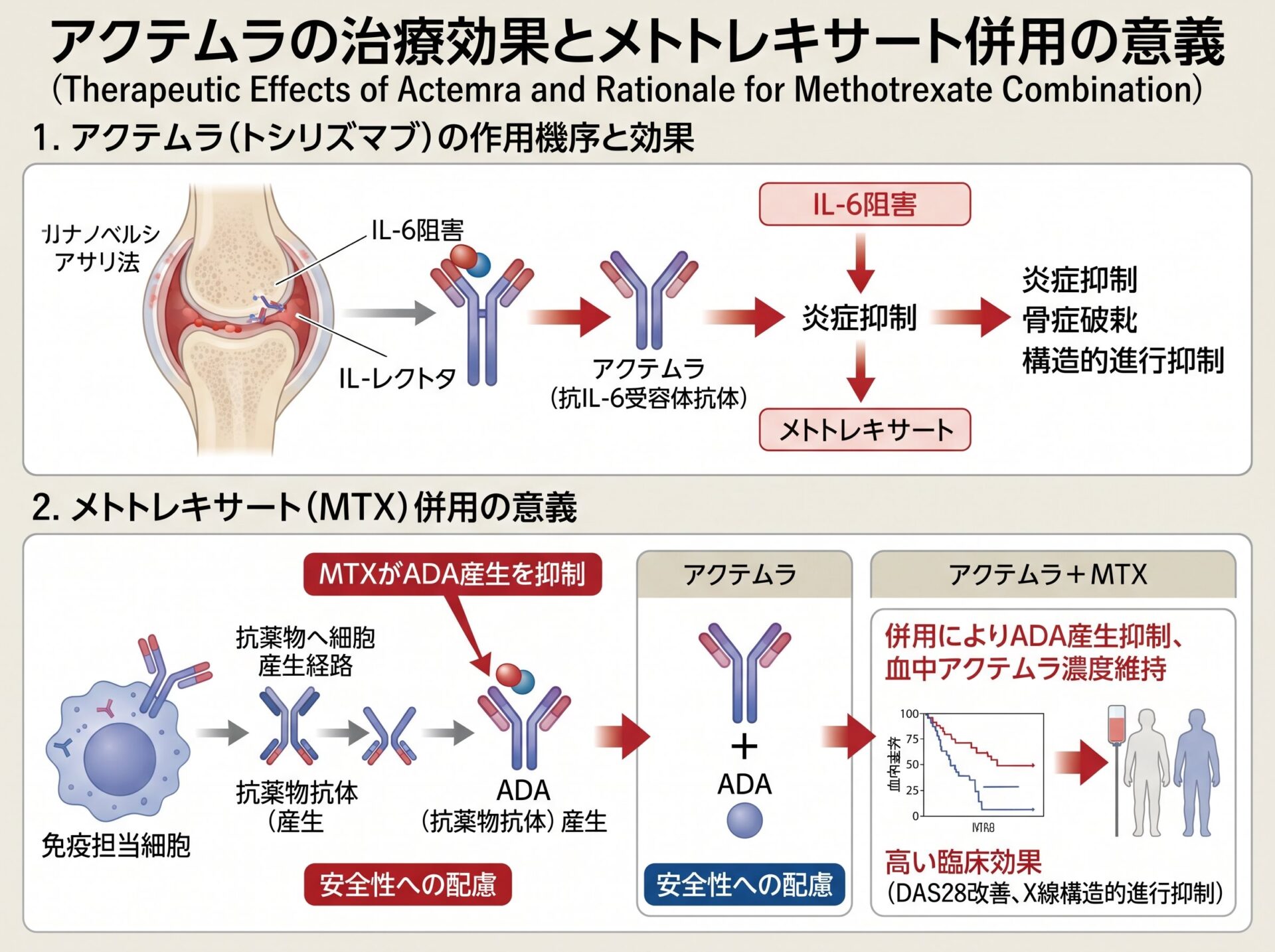 アクテムラの治療効果とメトトレキサート併用の意義