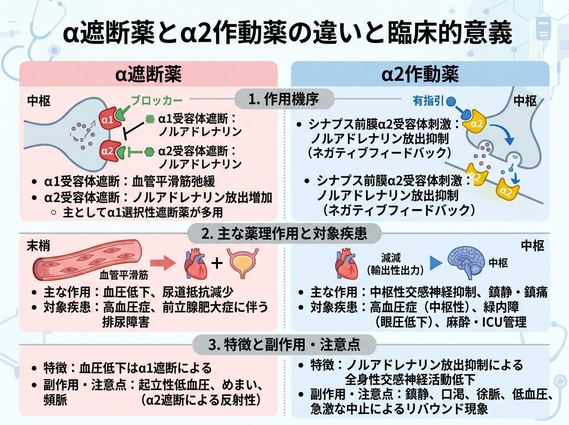 α遮断薬とα2作動薬の違いと臨床的意義