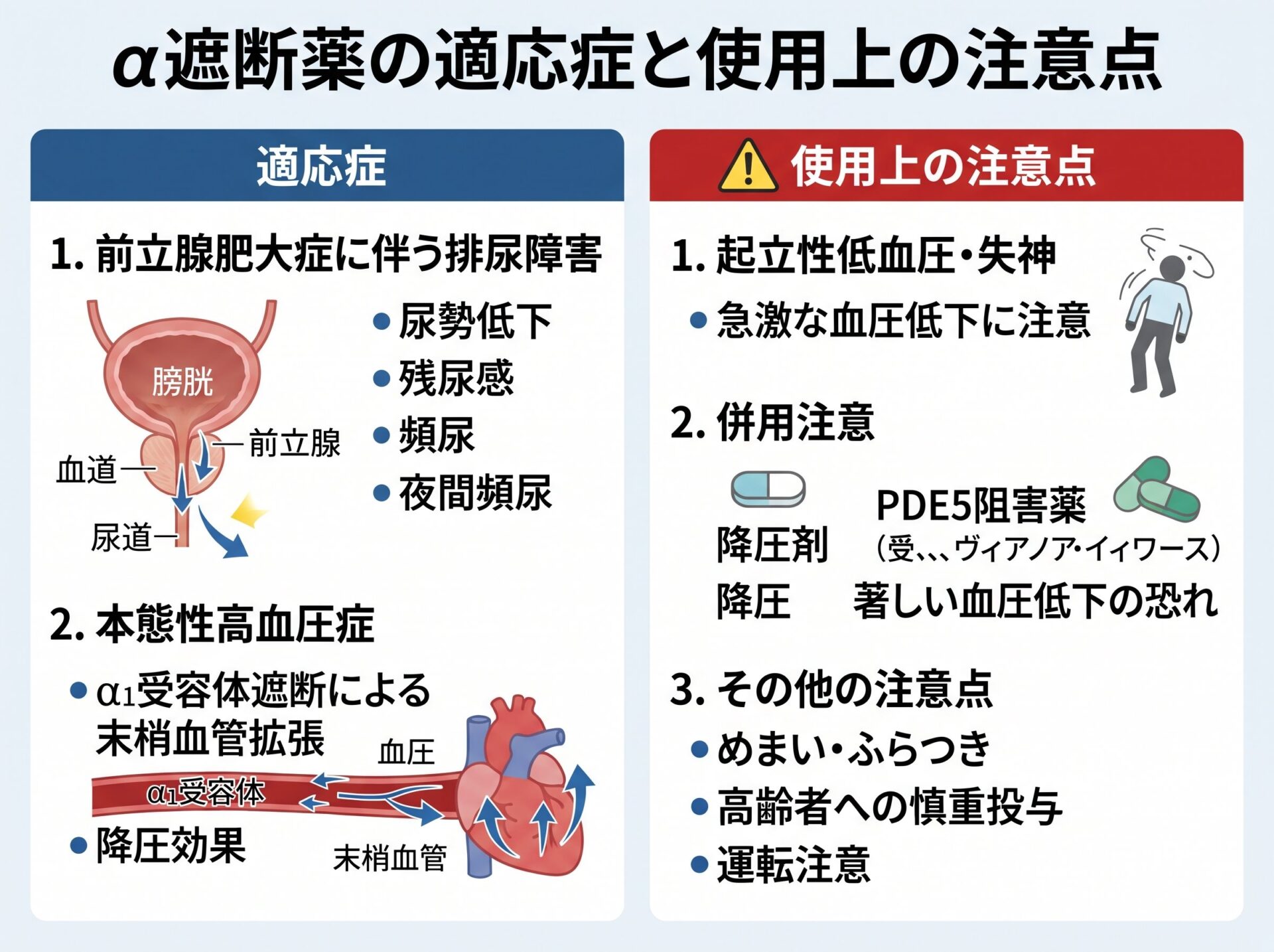 α遮断薬の適応症と使用上の注意点