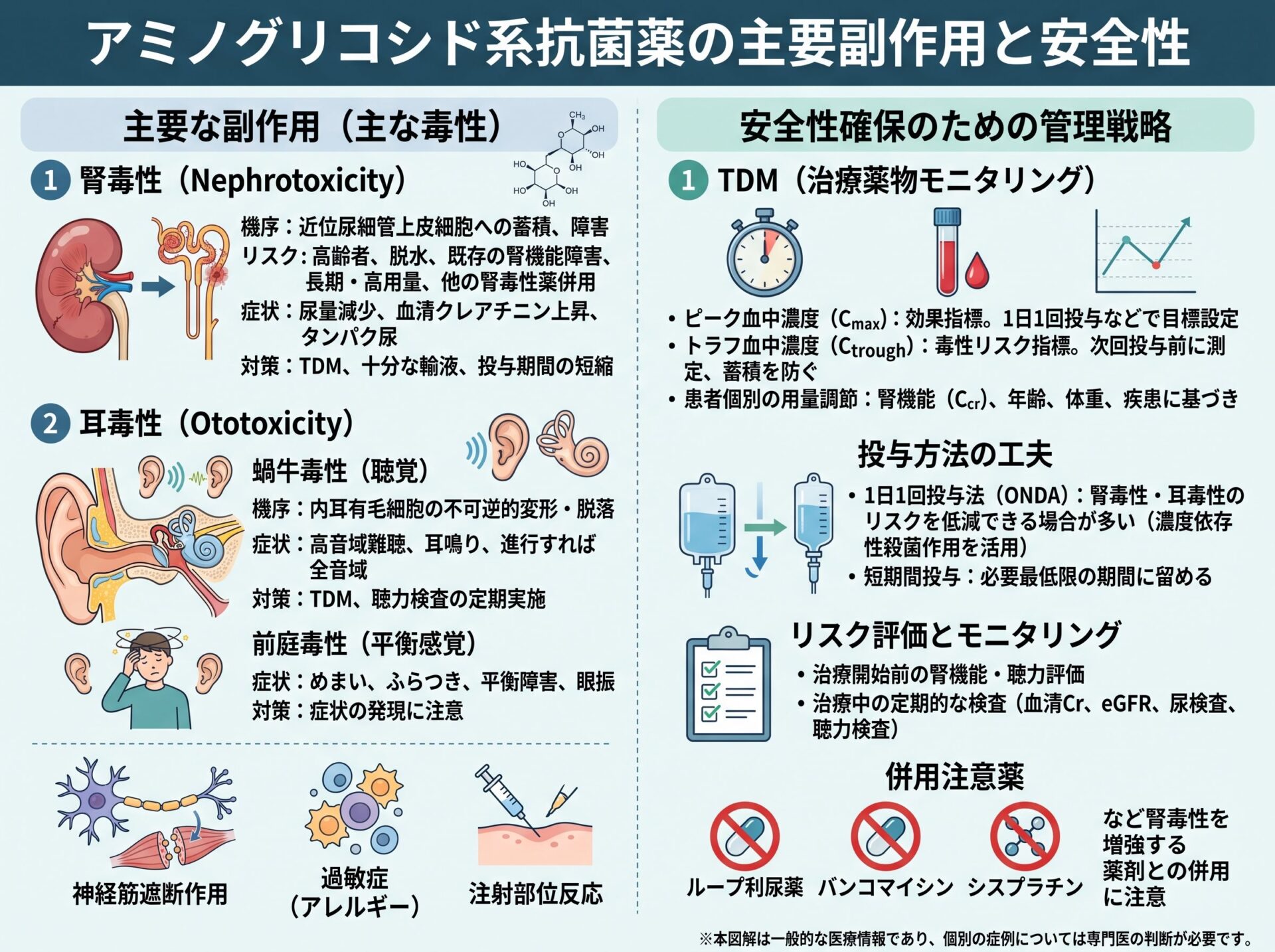 アミノグリコシド系抗菌薬の主要副作用と安全性