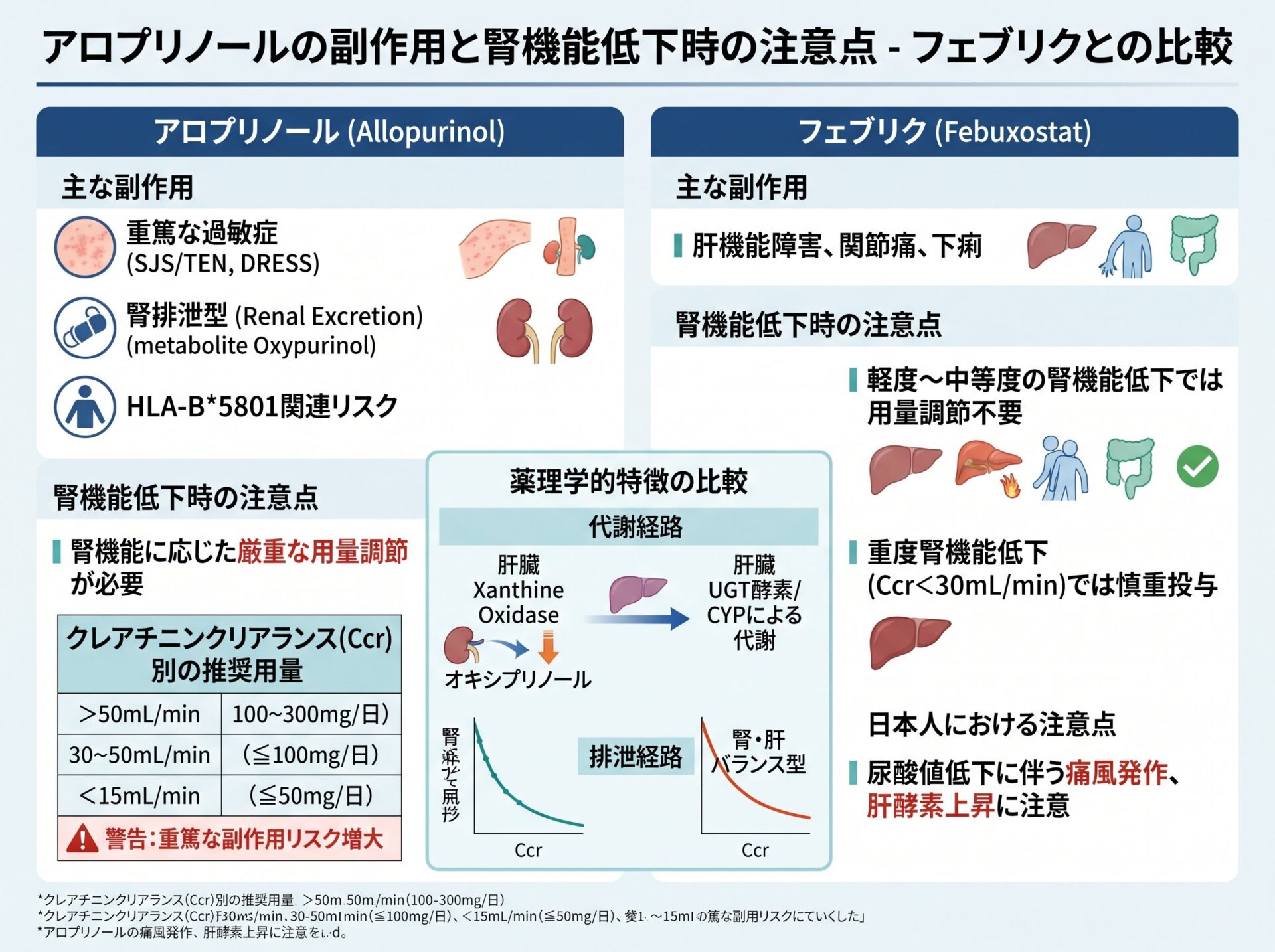 アロプリノールの副作用と腎機能低下時の注意点 – フェブリクとの比較