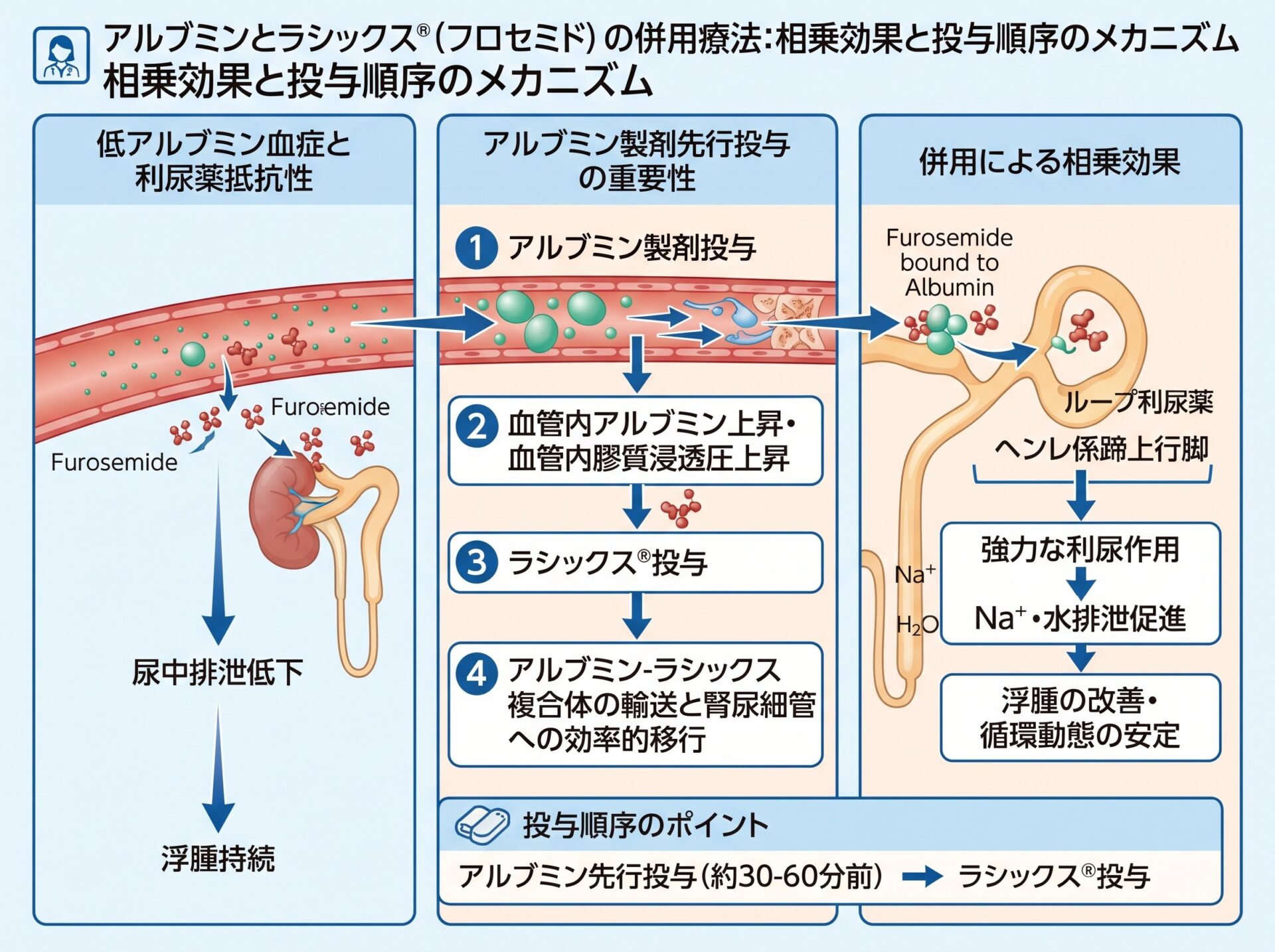 アルブミンとラシックスの併用による相乗効果と投与順序