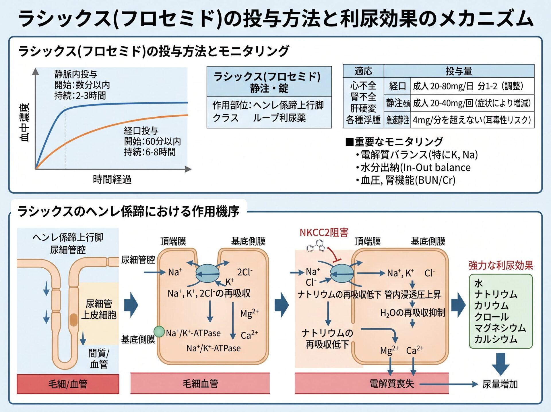 ラシックス（フロセミド）の投与方法と利尿効果のメカニズム