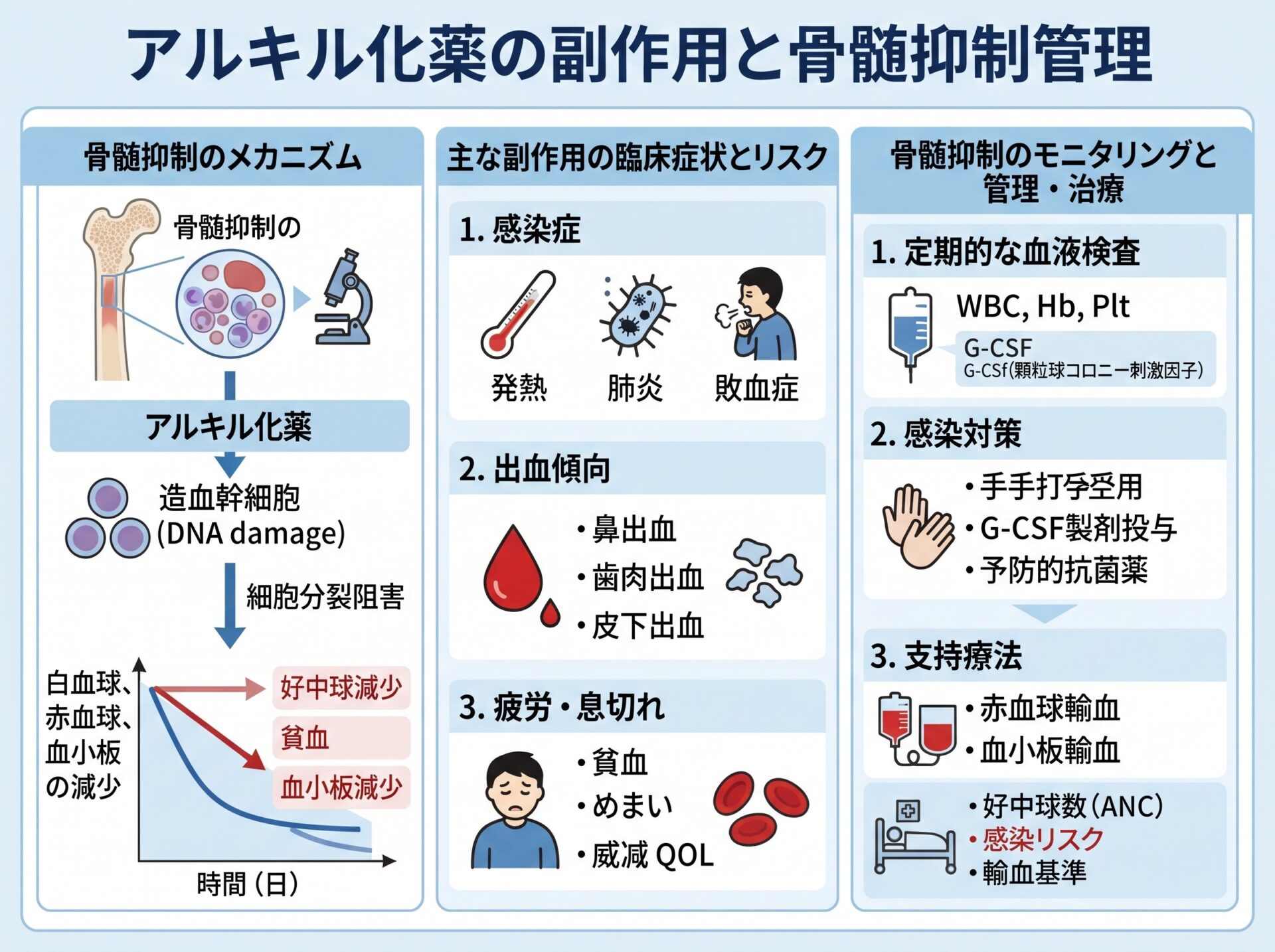 アルキル化薬の副作用と骨髄抑制管理