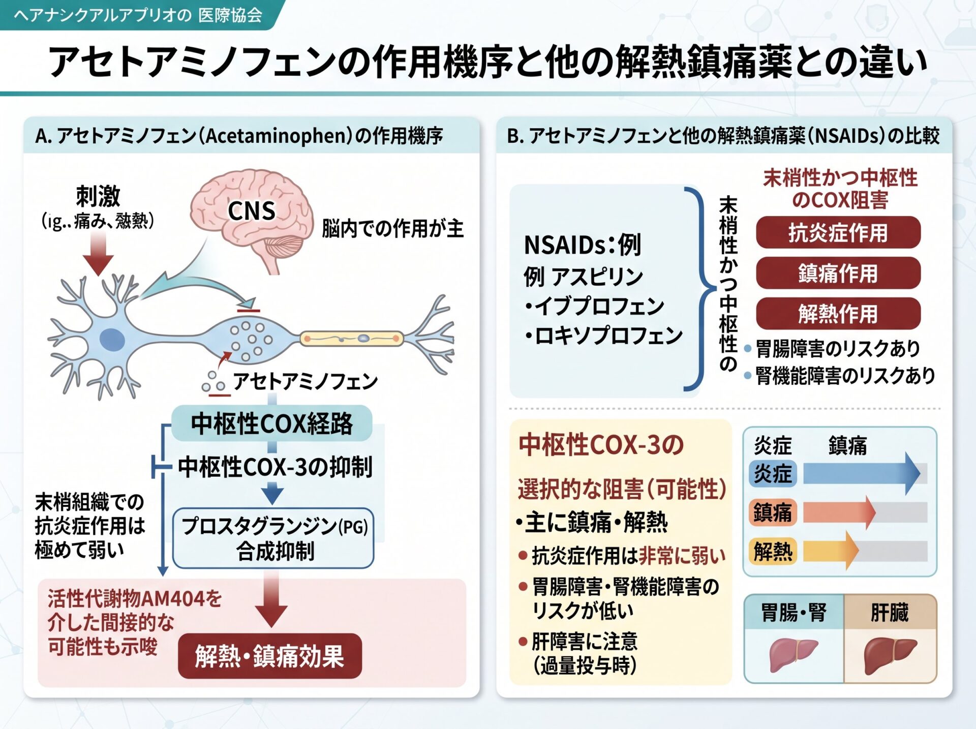 アセトアミノフェンの作用機序と他の解熱鎮痛薬との違い