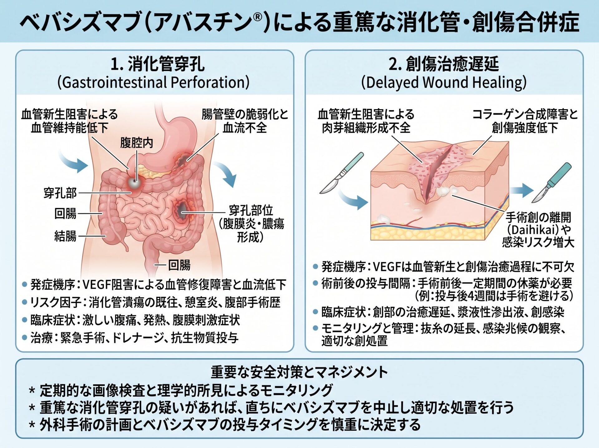ベバシズマブの消化管穿孔や創傷治癒遅延などの重篤な副作用