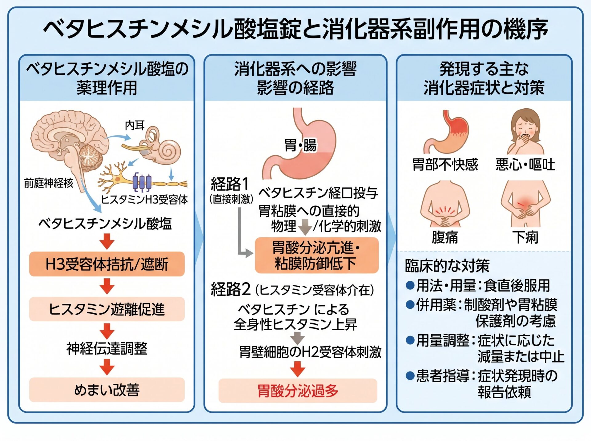 ベタヒスチンメシル酸塩錠と消化器系副作用の機序
