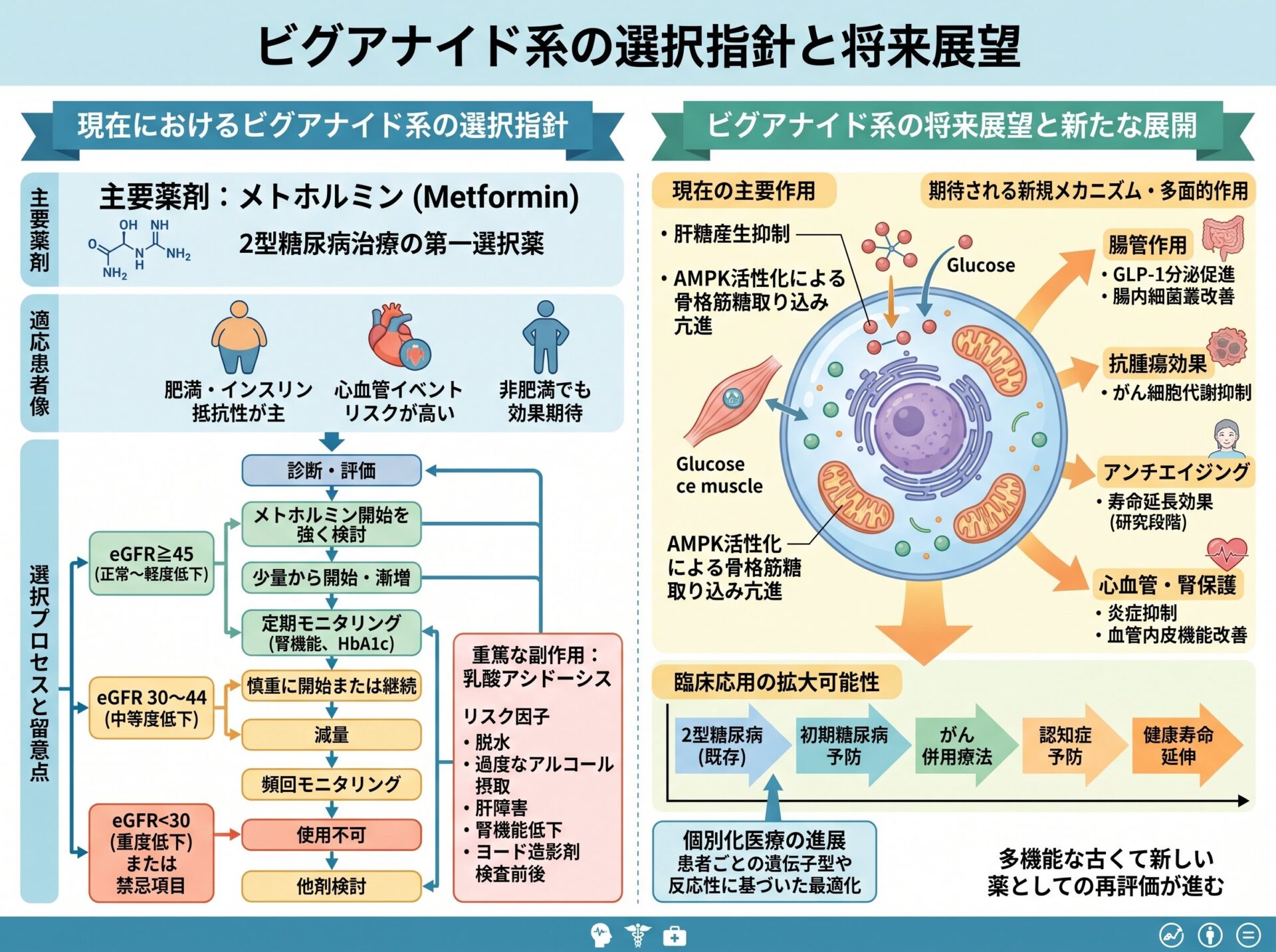 ビグアナイド系の選択指針と将来展望