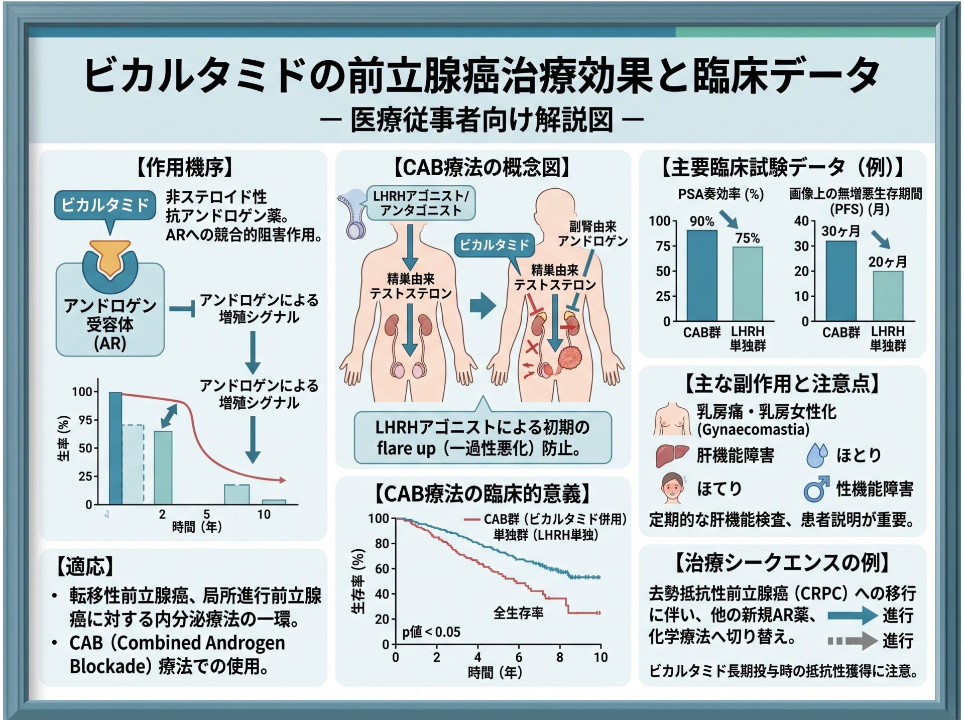 ビカルタミドの前立腺癌治療効果と臨床データ