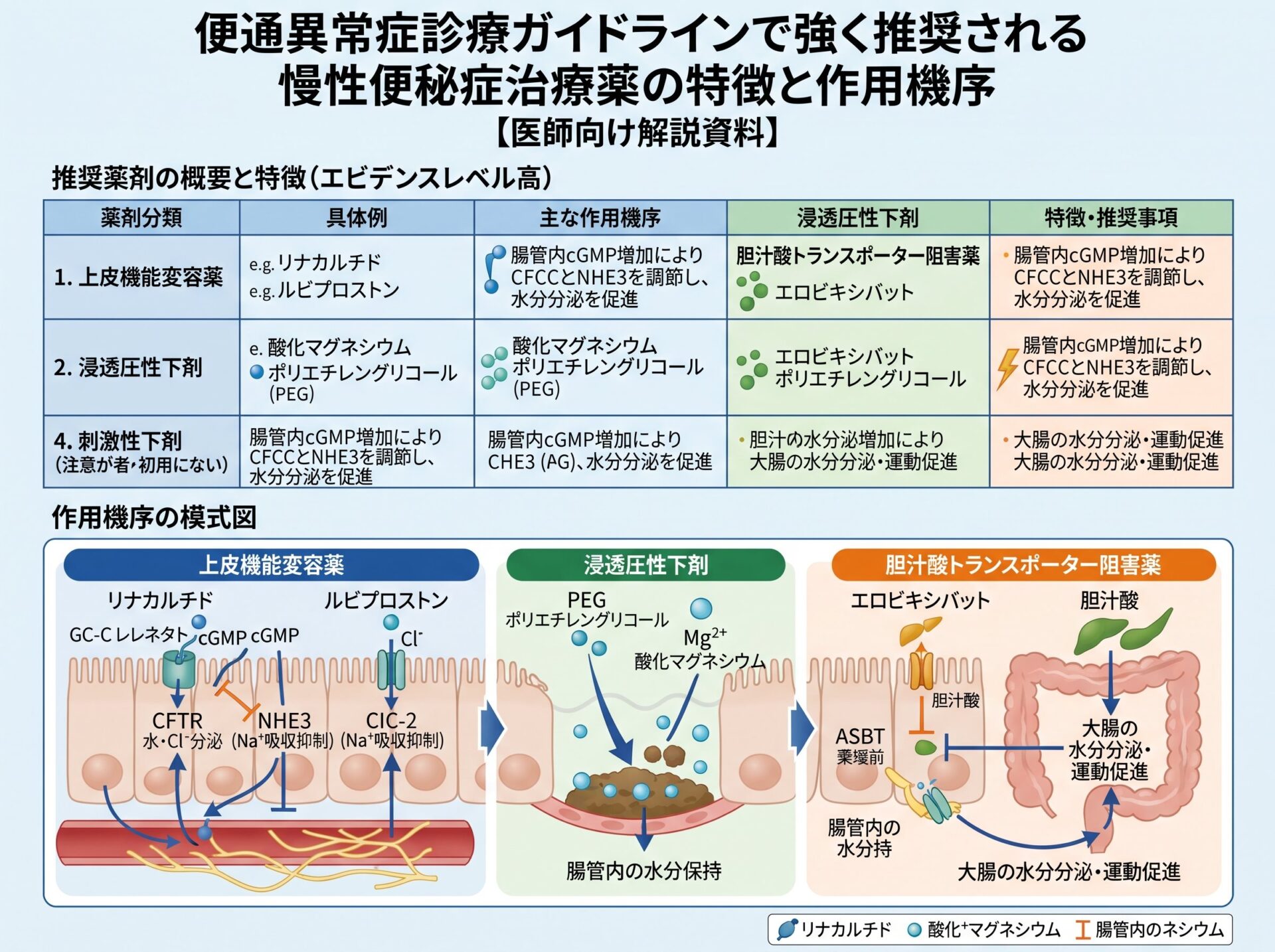 便通異常症診療ガイドラインで強く推奨される慢性便秘症治療薬の特徴と作用機序