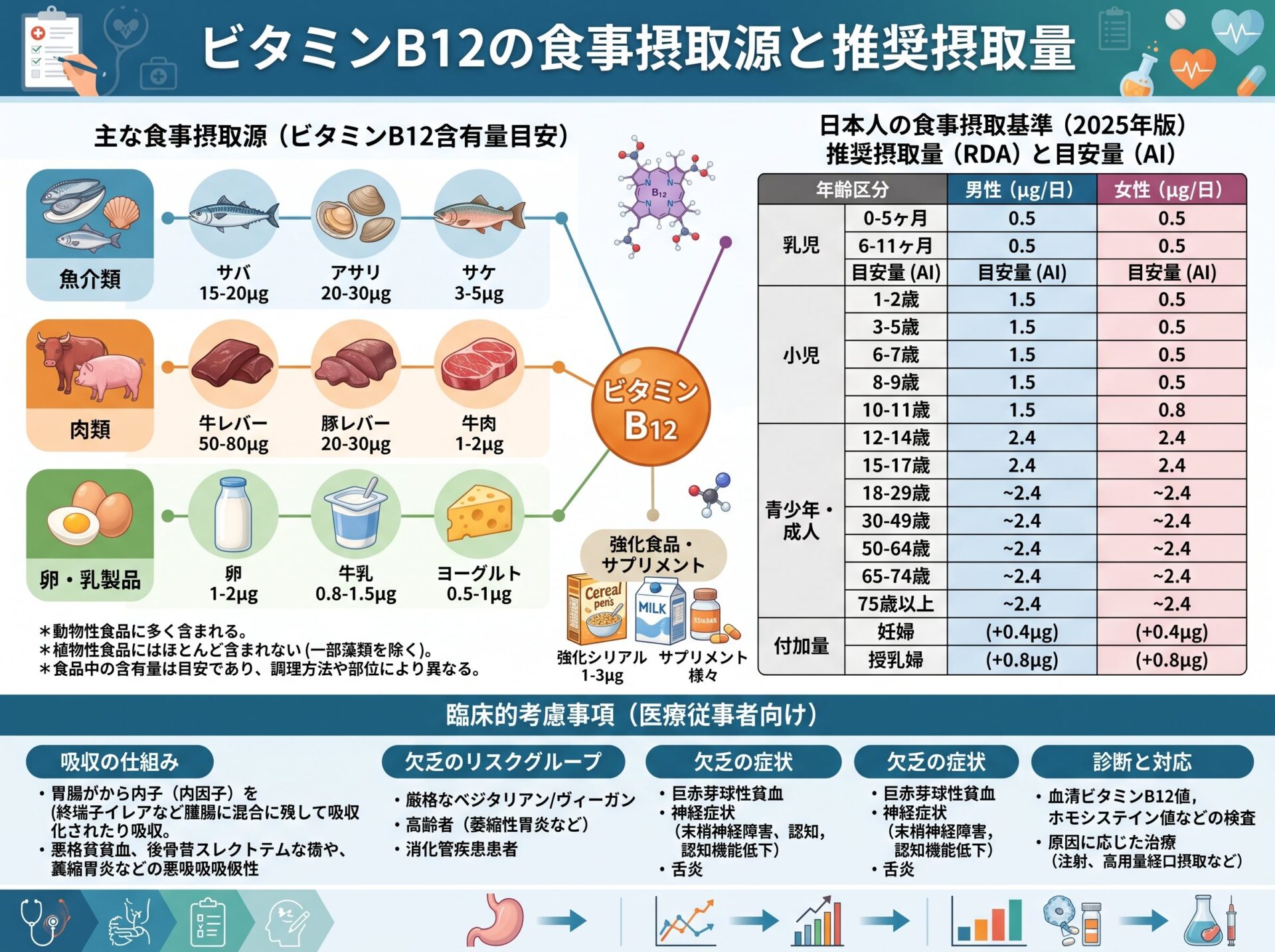 ビタミンB12の食事摂取源と推奨摂取量
