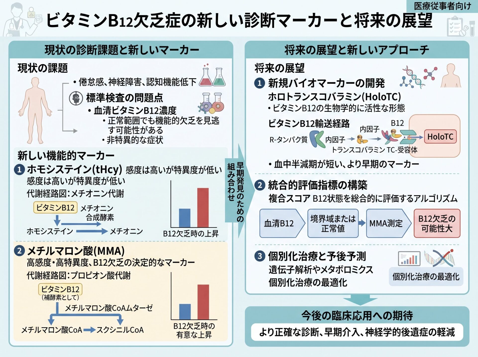 ビタミンB12欠乏症の新しい診断マーカーと将来の展望