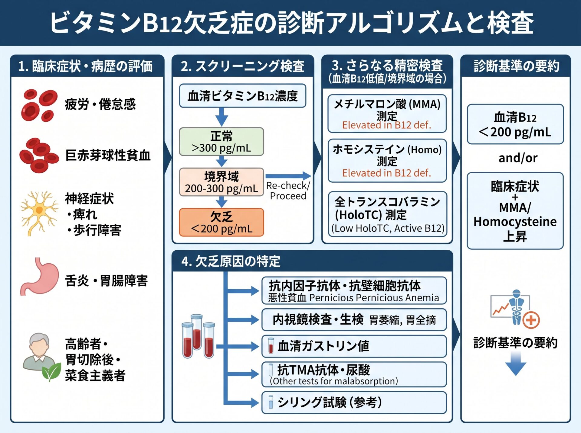 ビタミンB12欠乏症の診断方法と検査