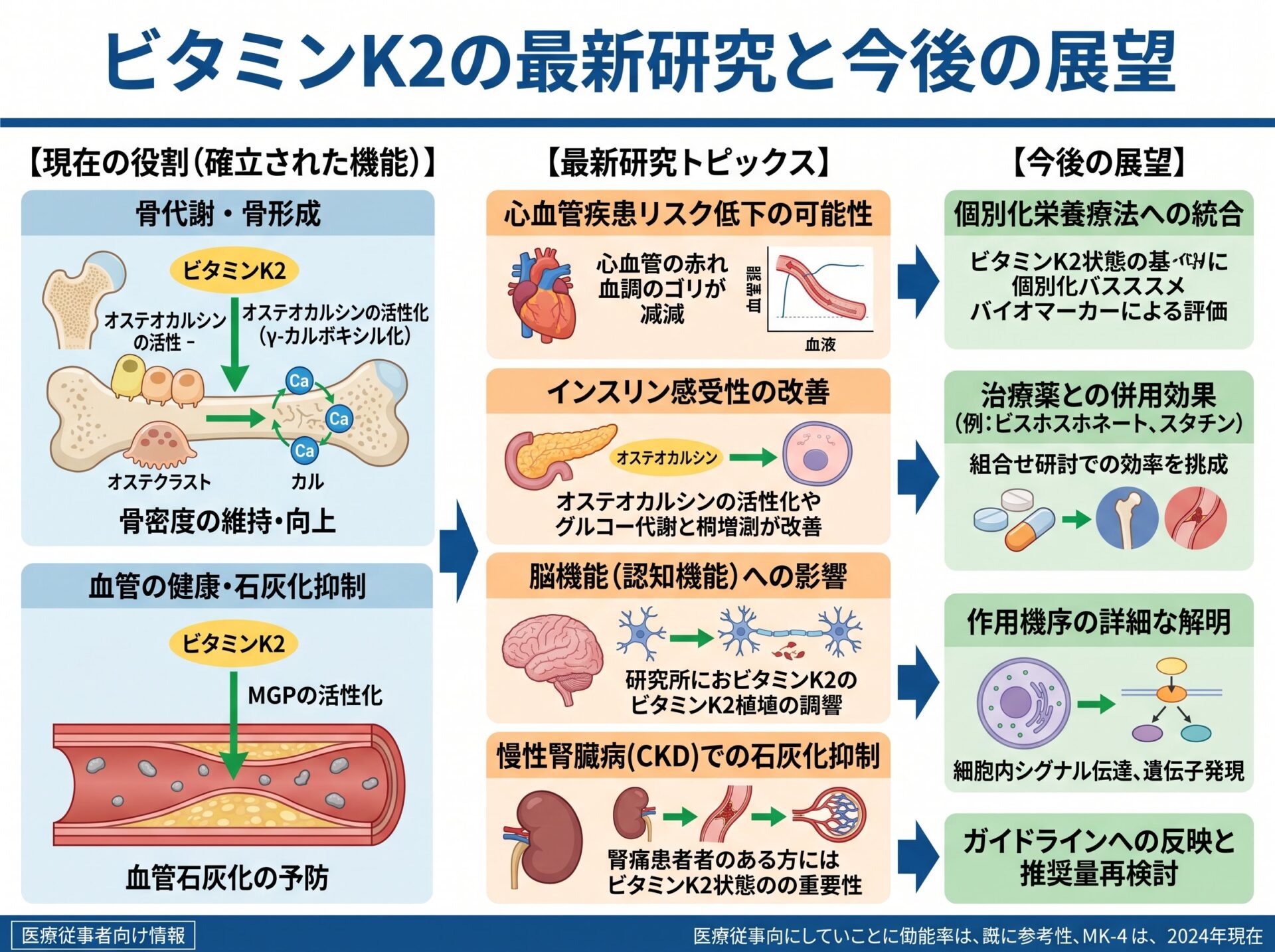 ビタミンK2の最新研究と今後の展望