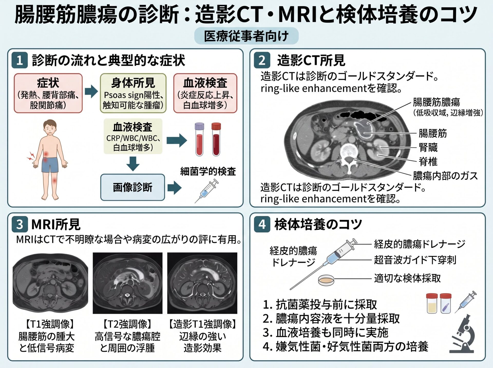 腸腰筋膿瘍の診断：造影CT・MRIと検体培養のコツ