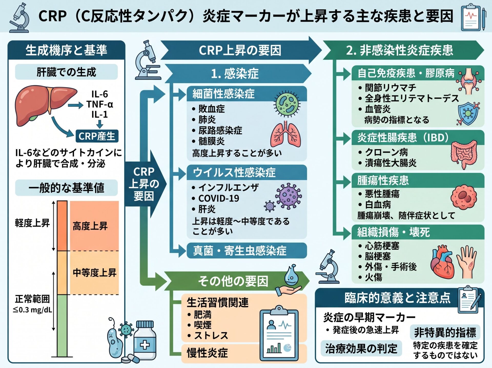 CRP 炎症マーカーが上昇する主な疾患と要因