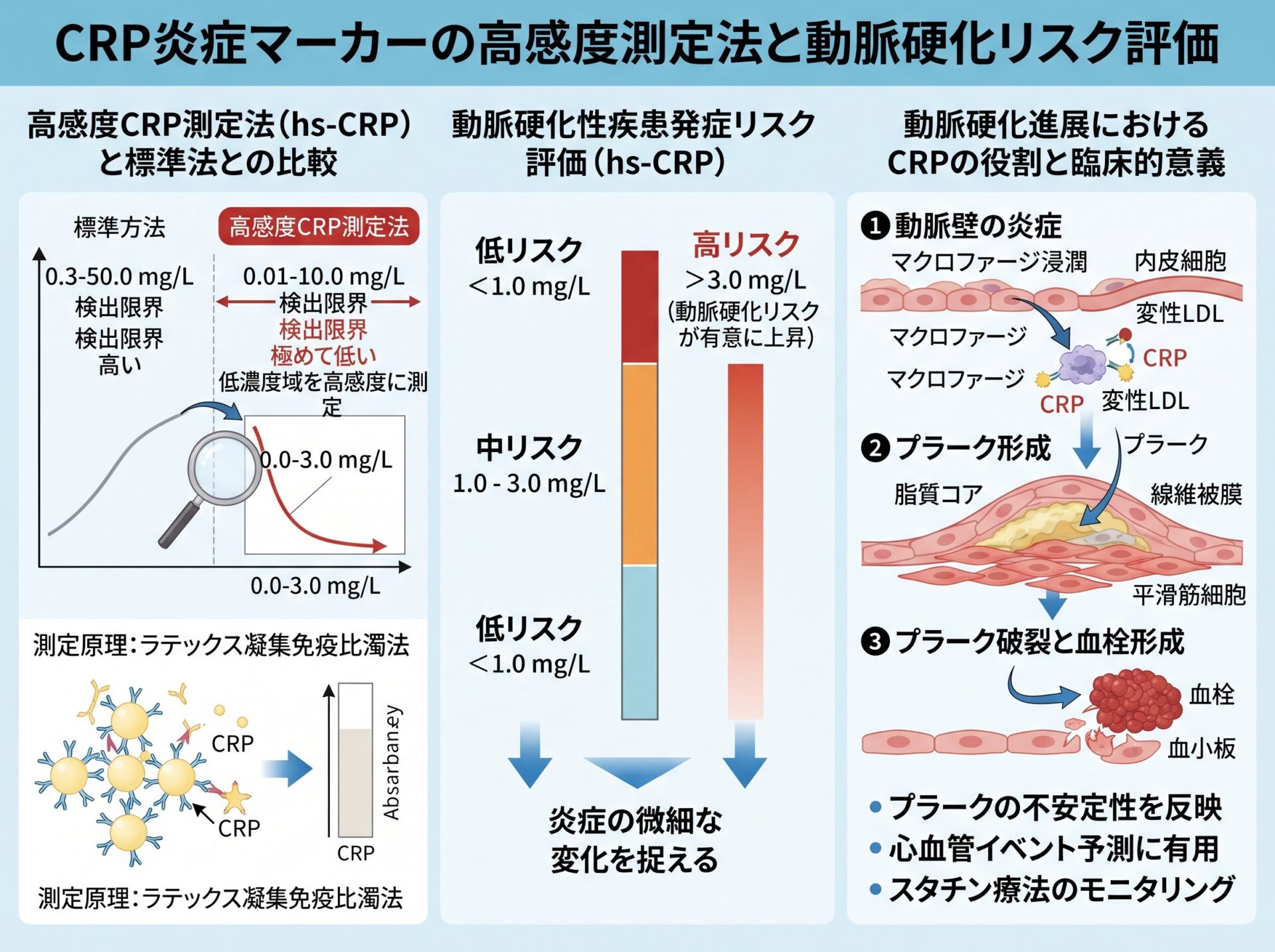 CRP 炎症マーカーの高感度測定法と動脈硬化リスク評価
