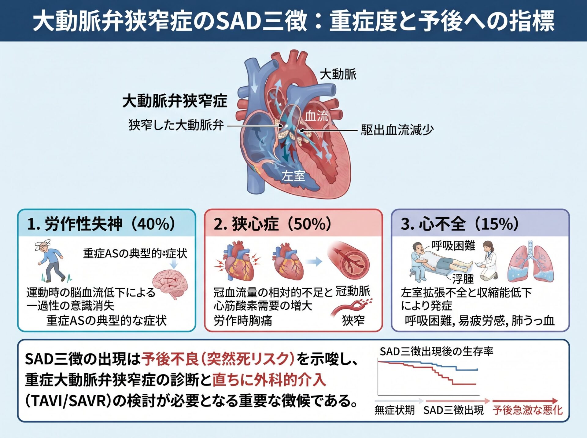 大動脈弁狭窄症のSAD三徴について