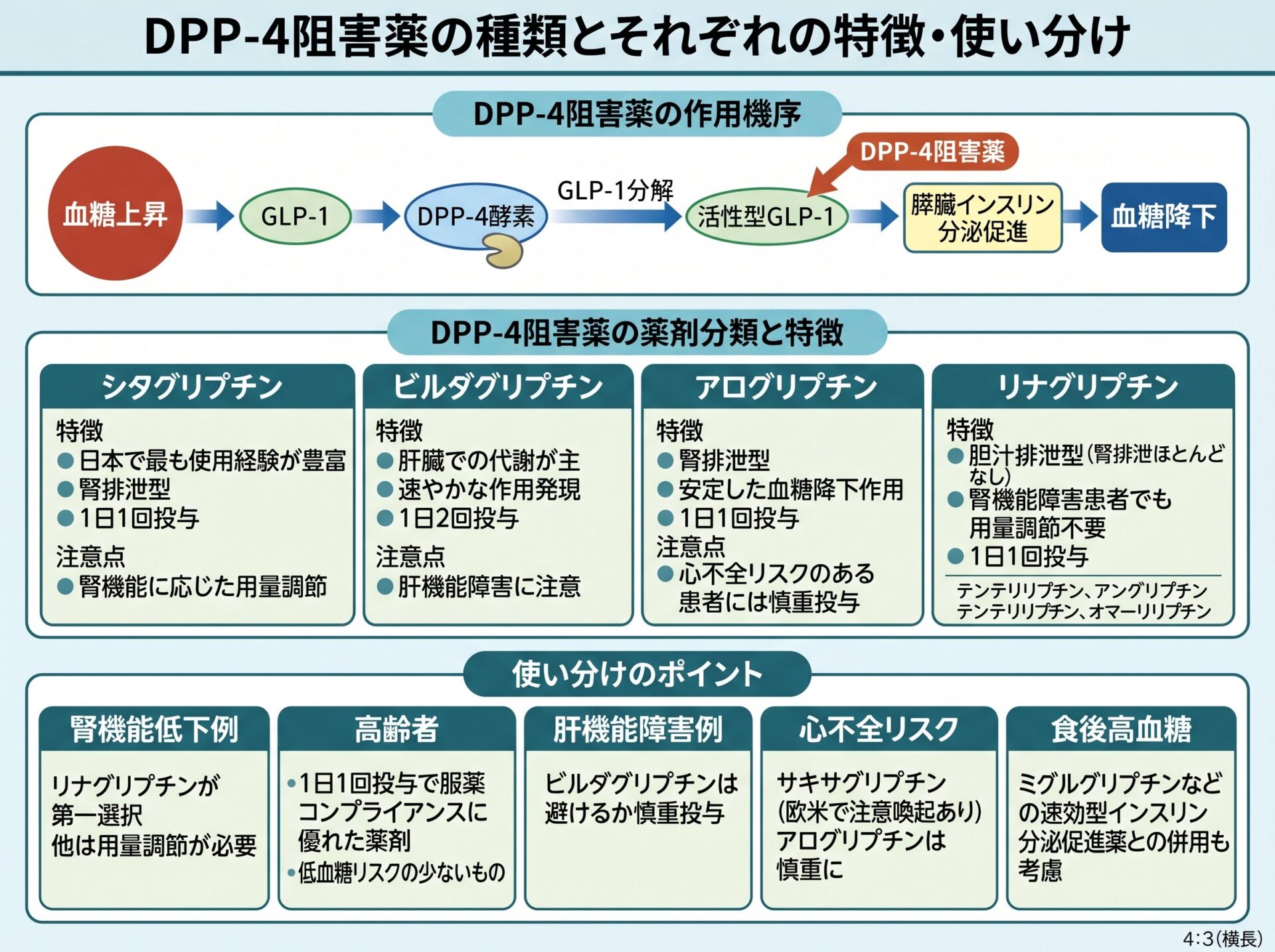 DPP4阻害薬の種類とそれぞれの特徴・使い分け