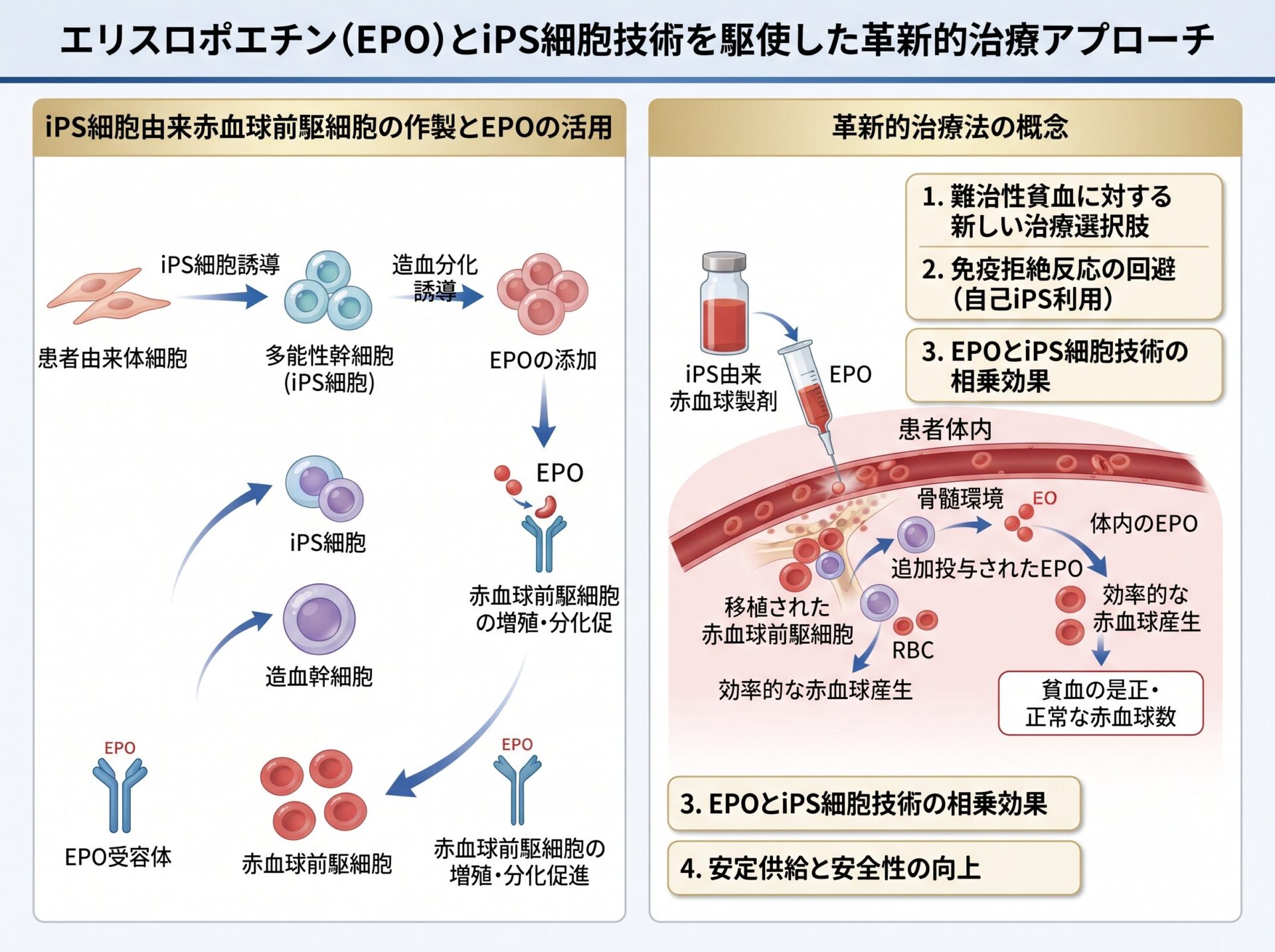 エリスロポエチンとiPS細胞技術の革新的治療アプローチ