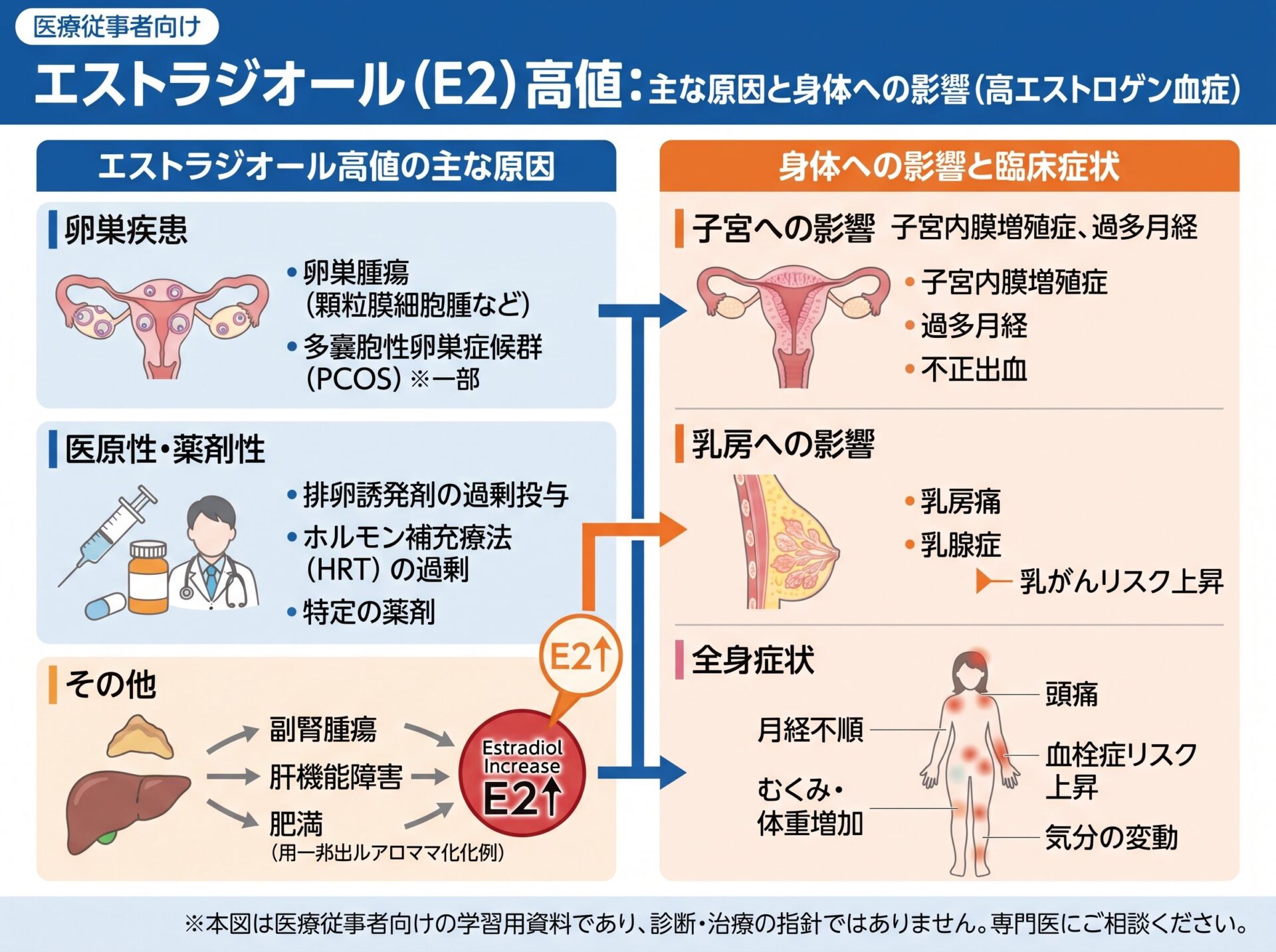 エストラジオールが高い場合の原因と影響