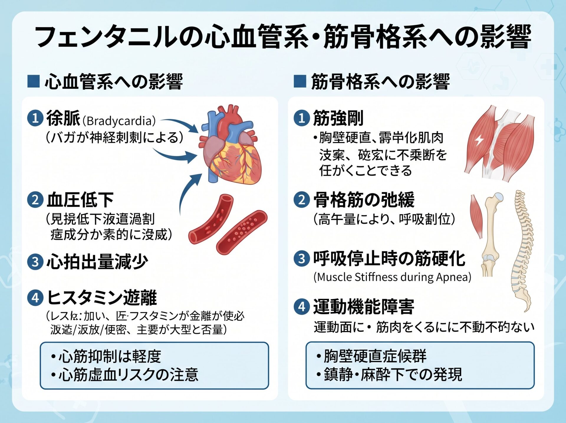 フェンタニルの心血管系・筋骨格系への影響