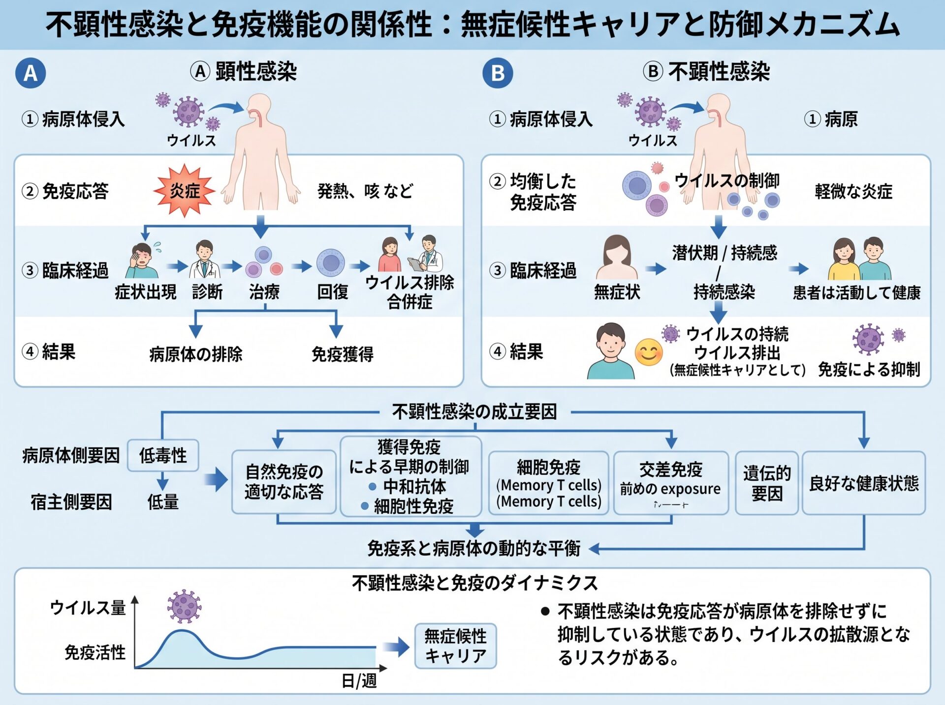 不顕性感染と免疫機能の関係性