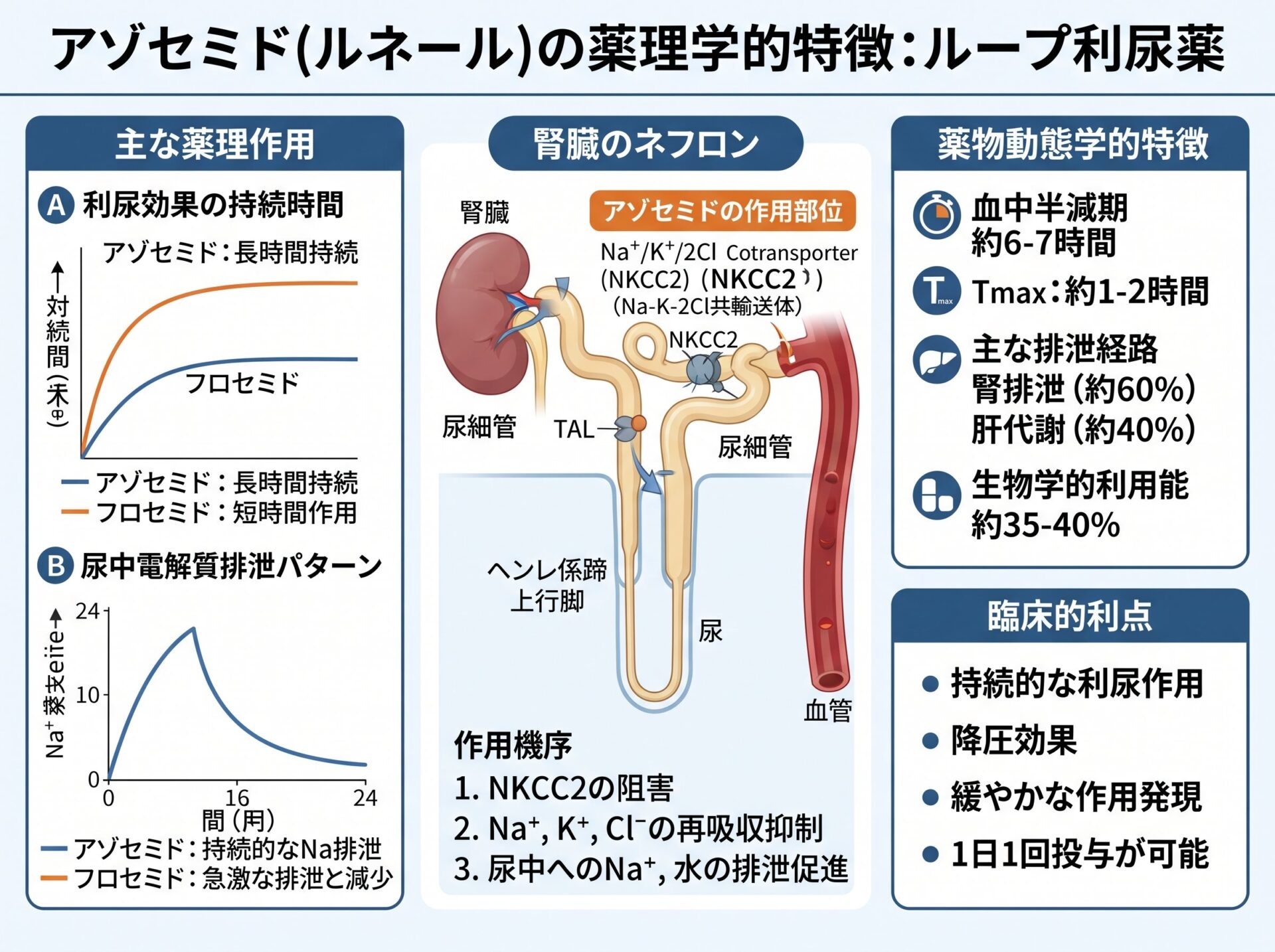 アゾセミドの薬理学的特徴