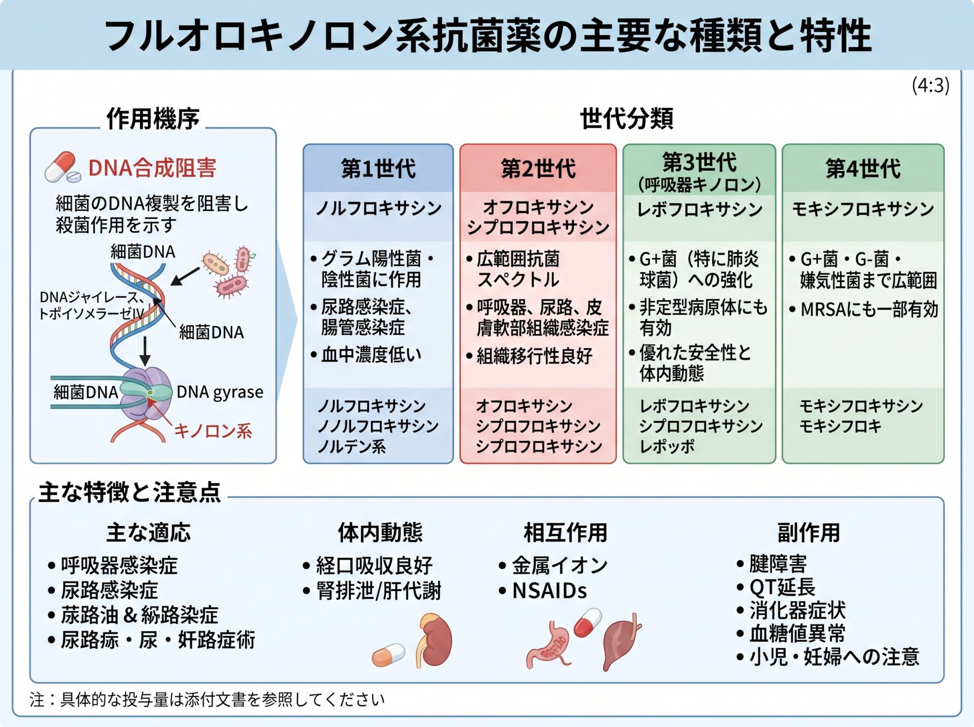 フルオロキノロン系抗菌薬の主要な種類と特性