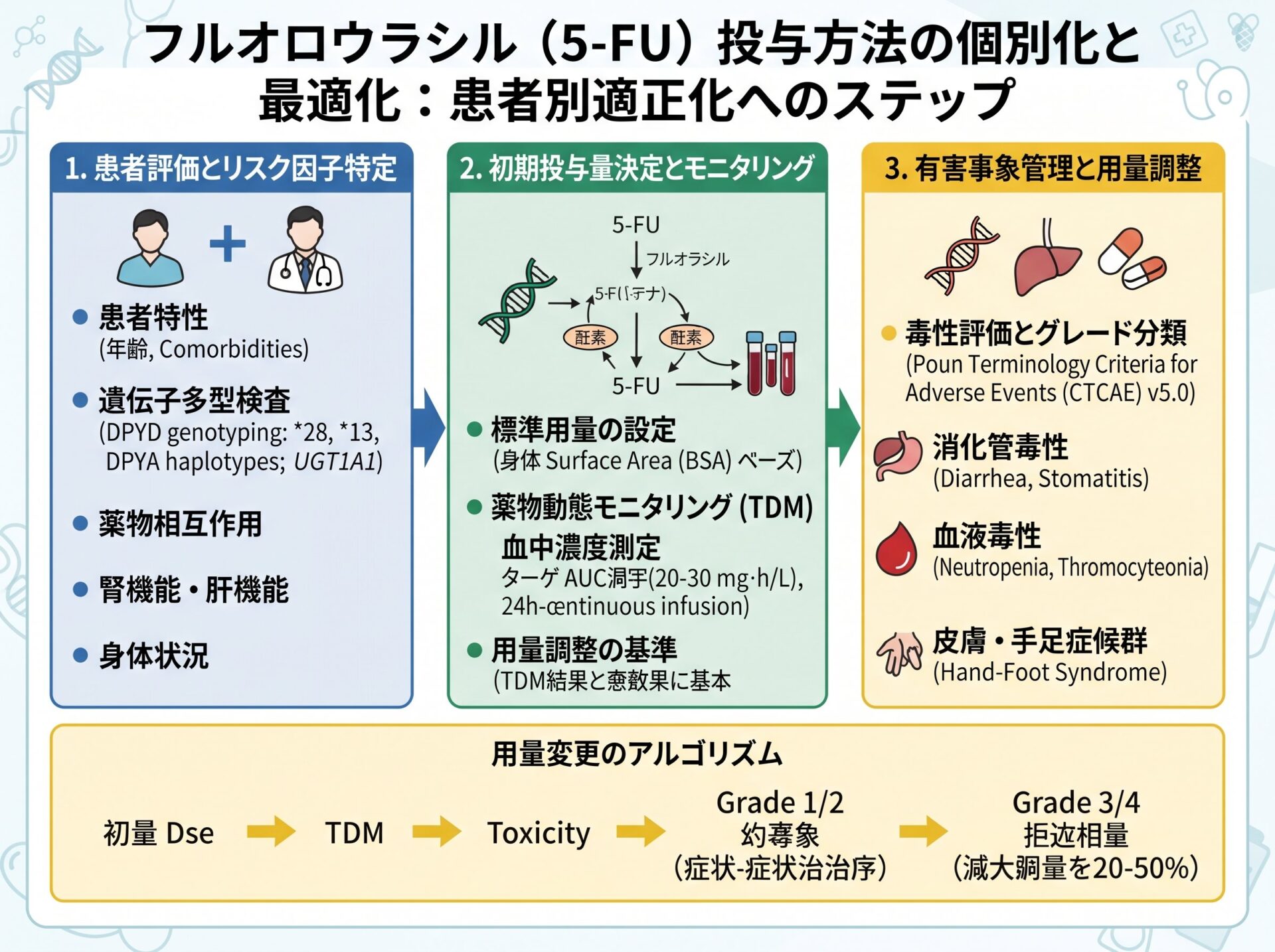 フルオロウラシル投与方法の個別化と最適化