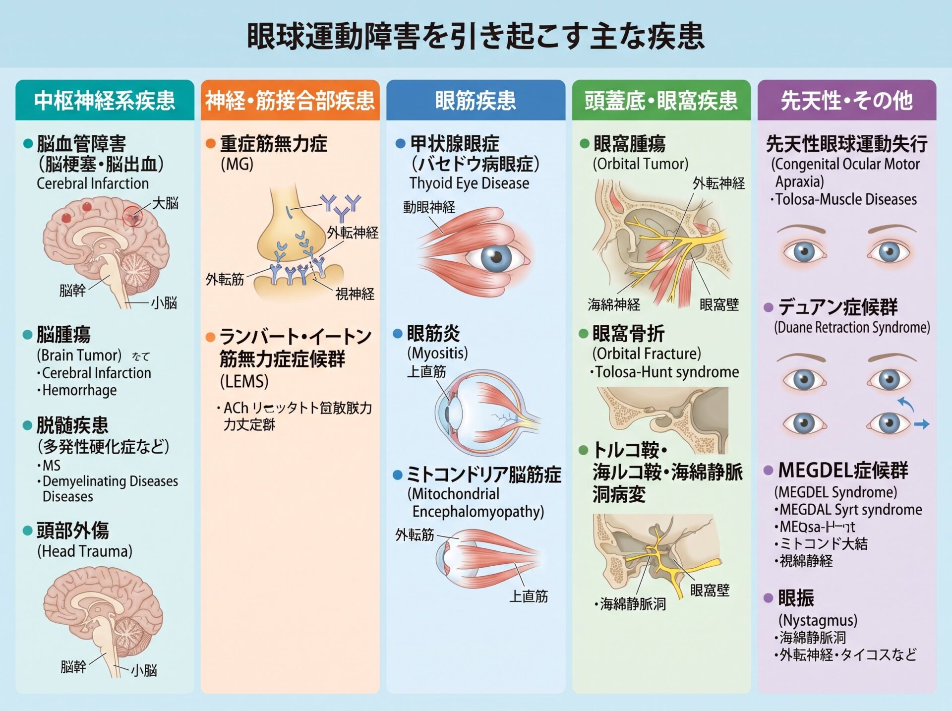 眼球運動障害を引き起こす疾患の種類